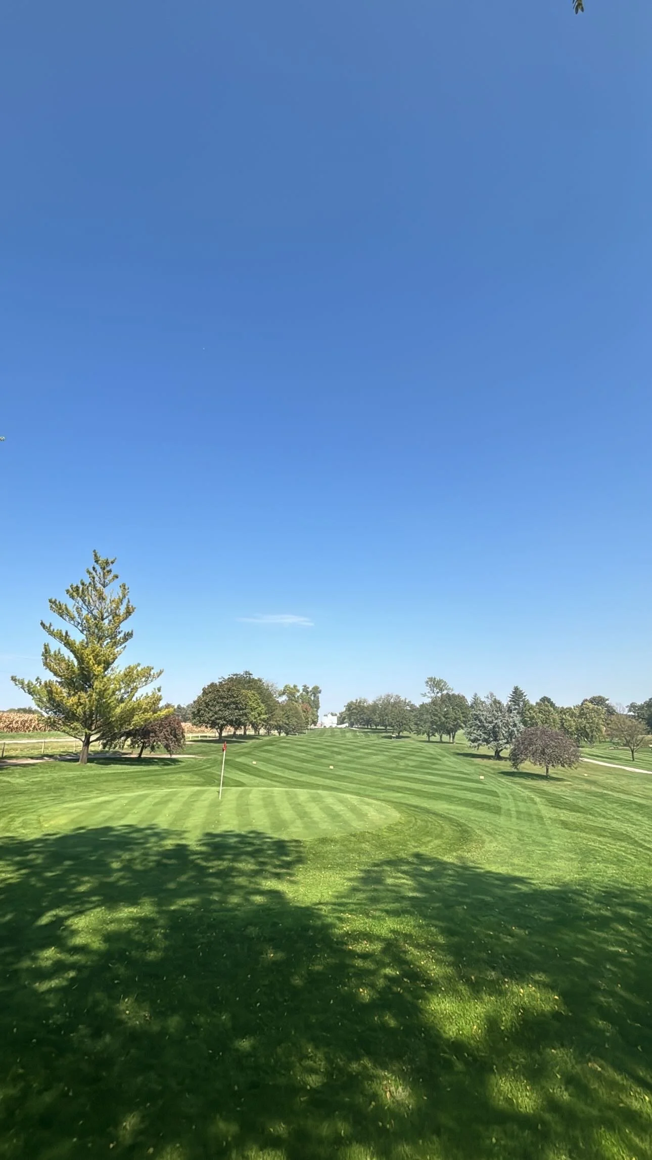 A golf course with green grass, a flagstick in the hole, and trees under a clear blue sky.