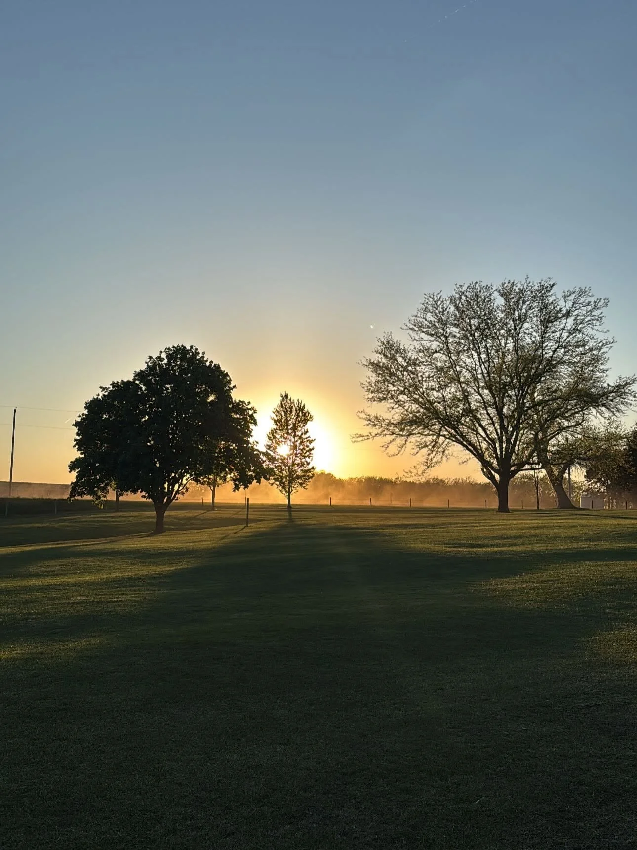 A peaceful sunrise or sunset over a park with leafless trees and a well-manicured grassy area.