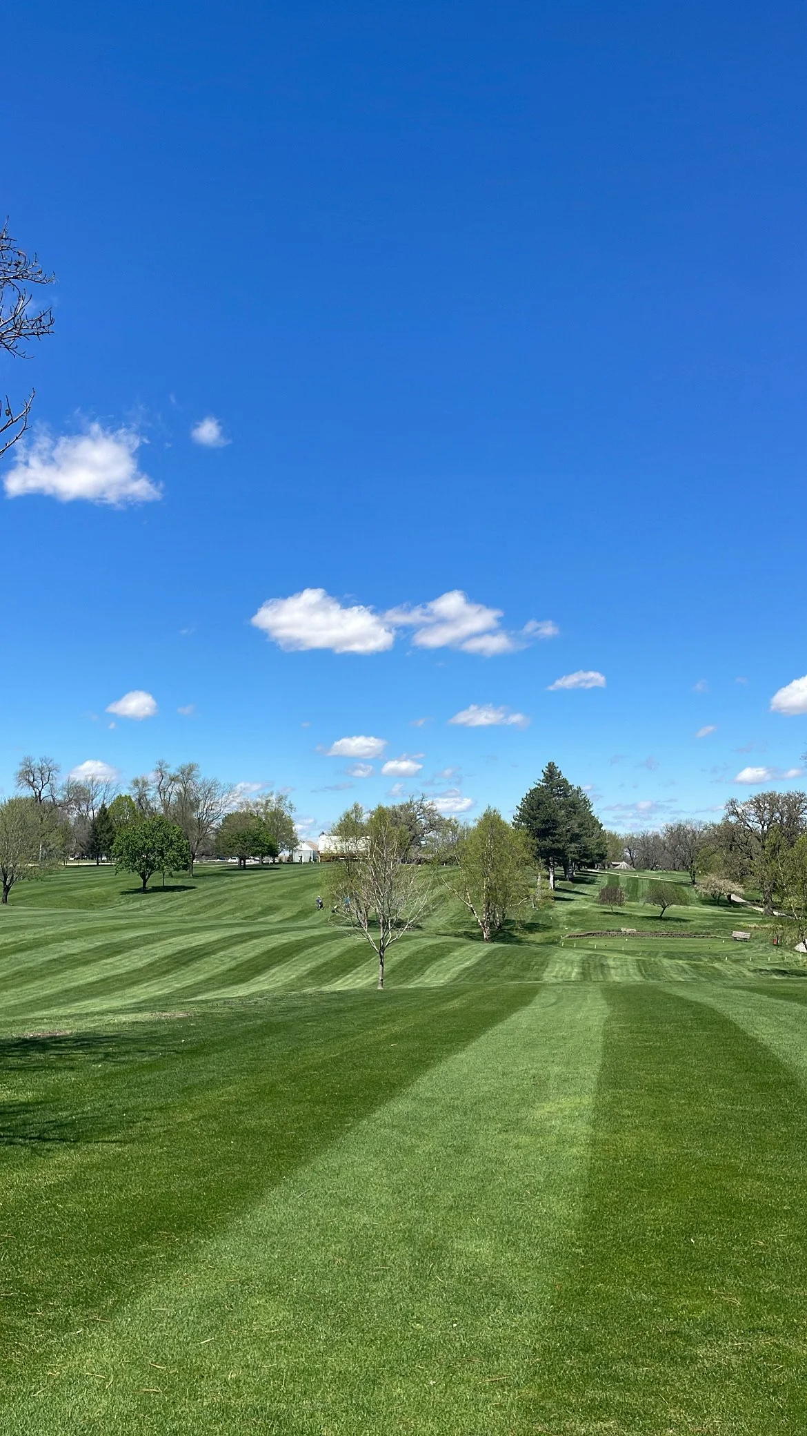 family golf courses omaha lincoln41.jpeg