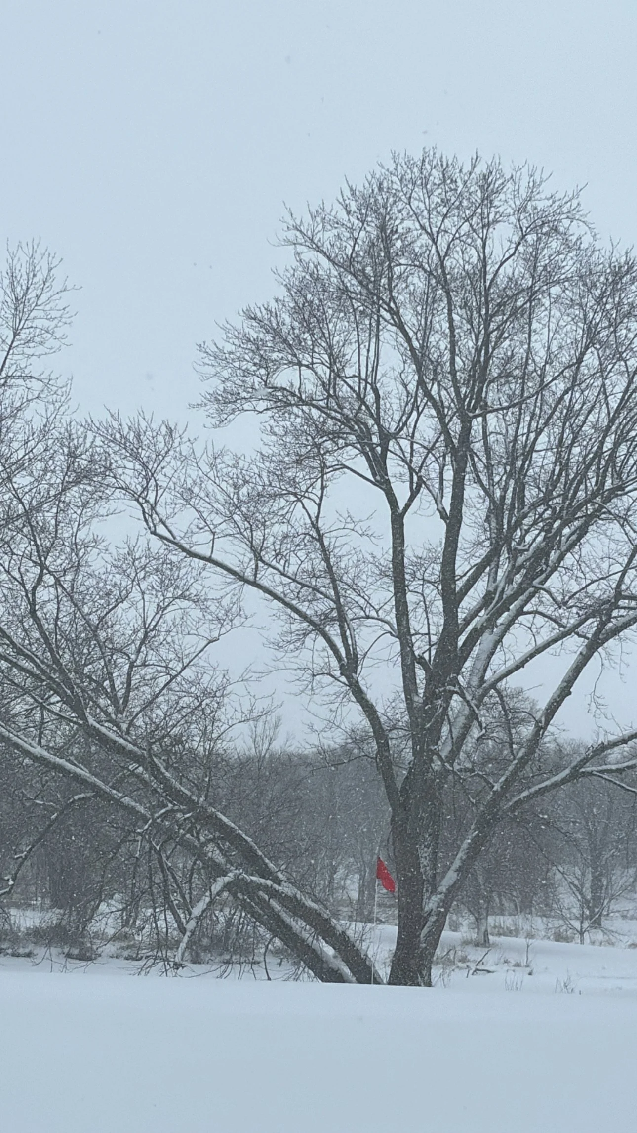 family golf courses omaha lincoln73.jpg