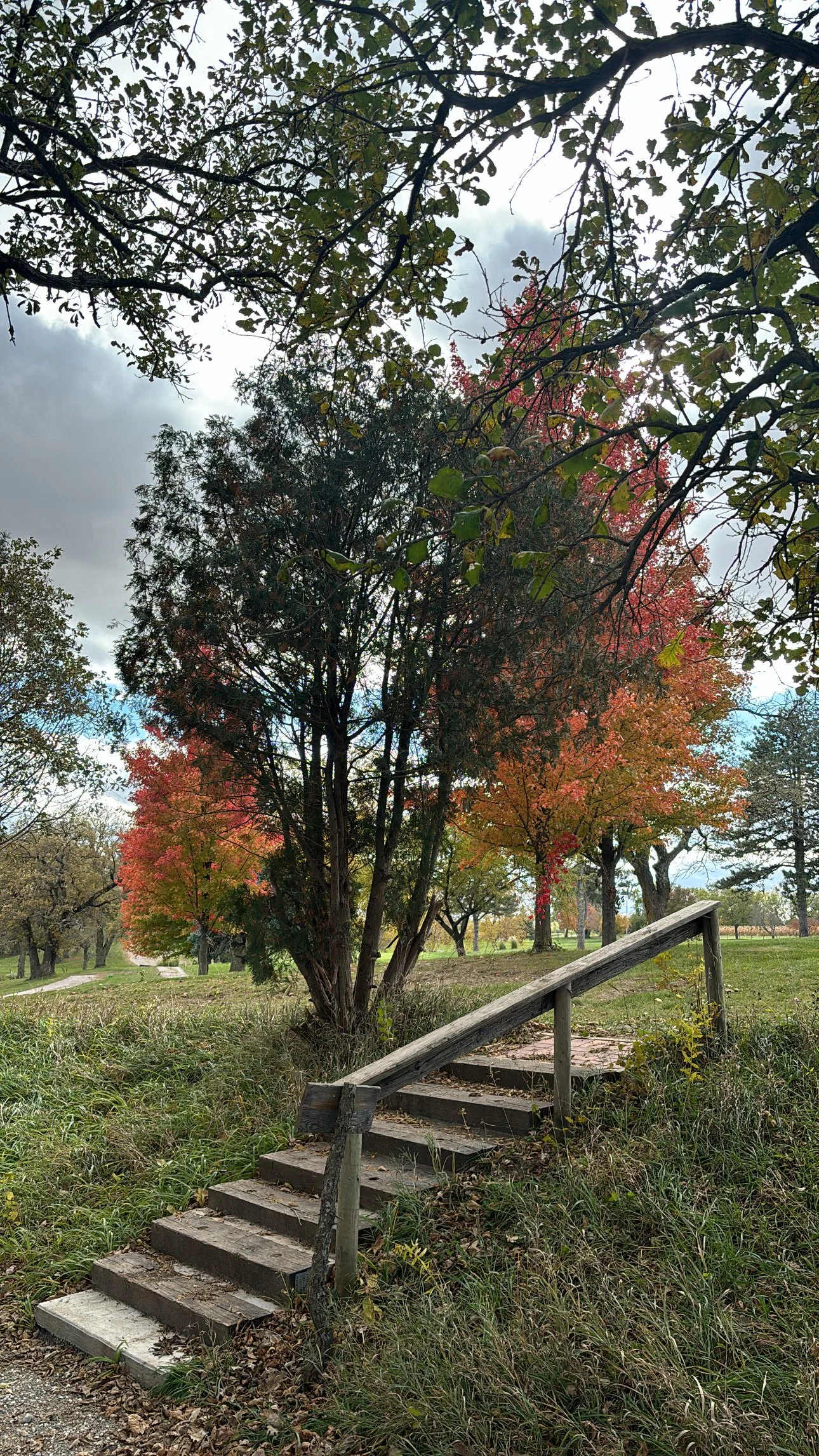 family golf courses omaha lincoln117.jpg