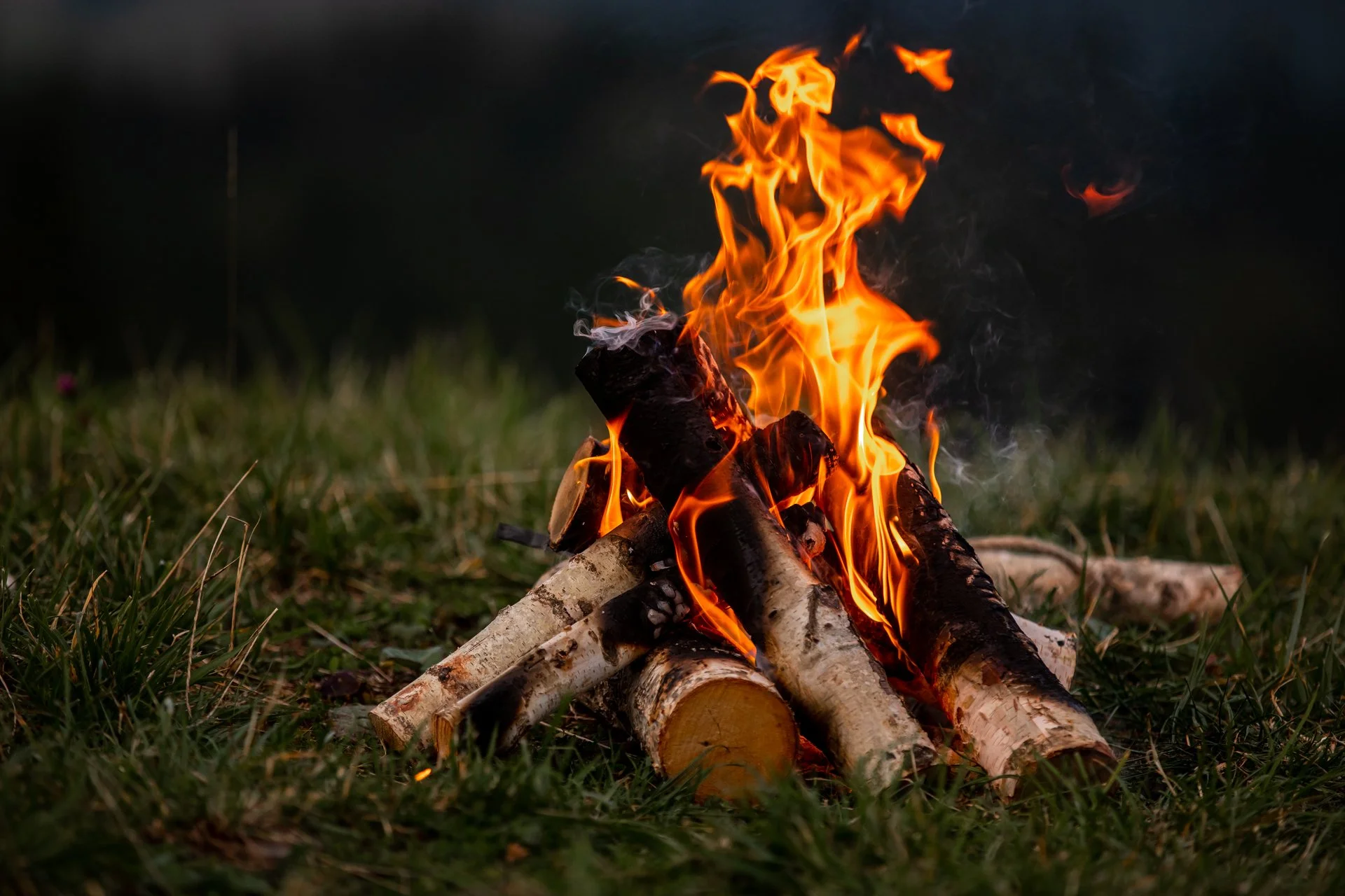 A campfire with burning logs on green grass at dusk or night.
