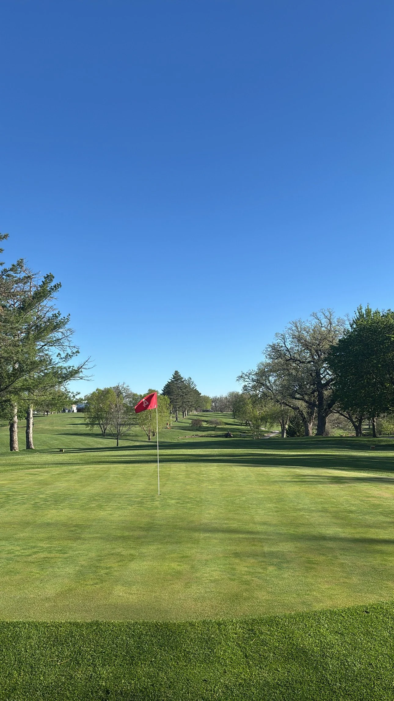 A golf course with a red flag on the putting green, surrounded by trees, under a clear blue sky.
