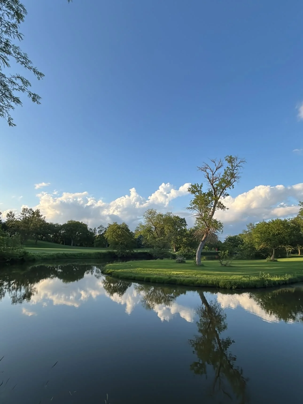 A serene landscape featuring a calm river reflecting the blue sky, white clouds, and lush green trees along the riverbank during daytime.