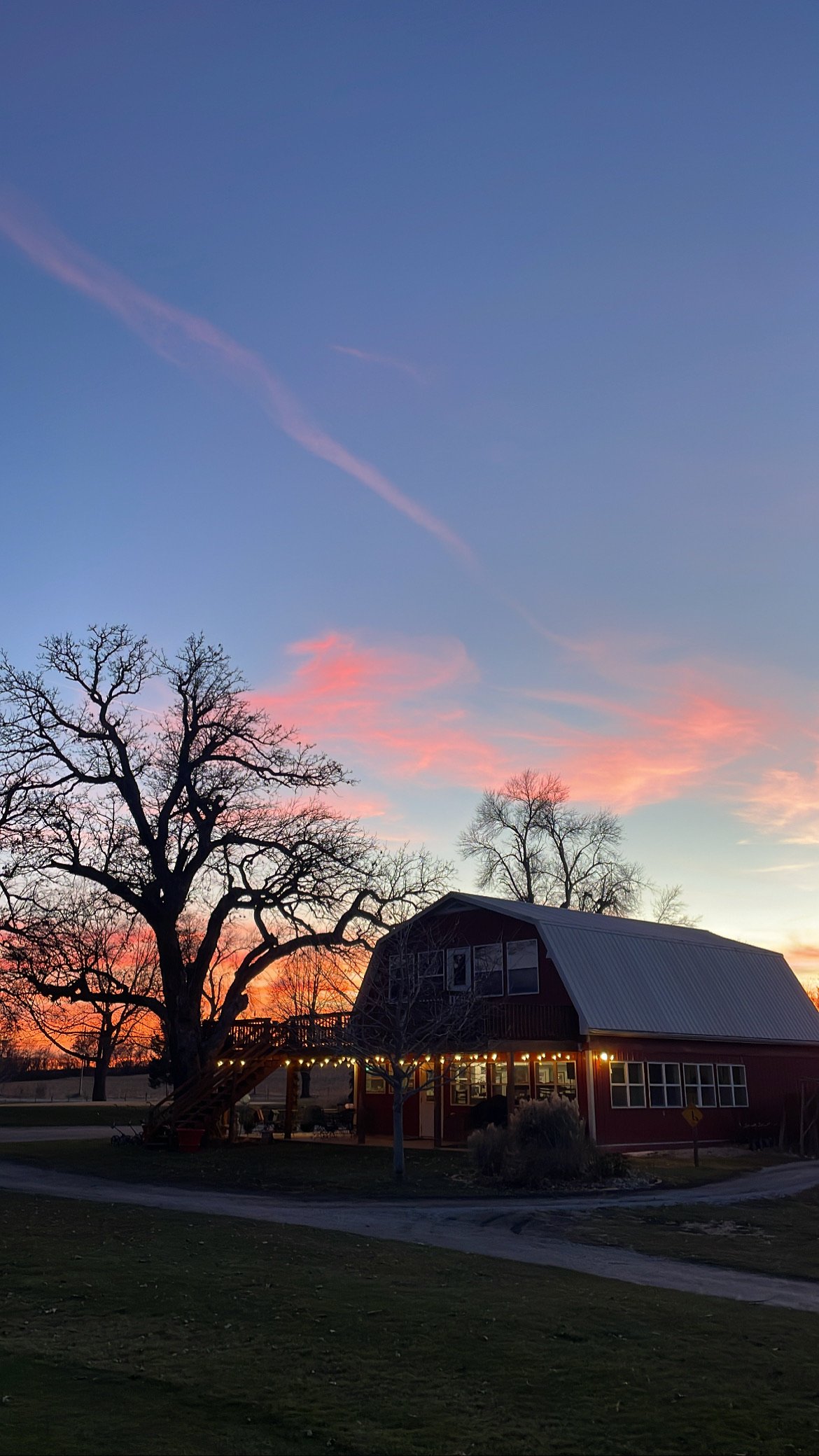 A sunset sky with pink clouds and a deep blue background, featuring a large, leafless tree, a barn-like building with string lights, and a house with lights, all on a grassy landscape with a winding path.