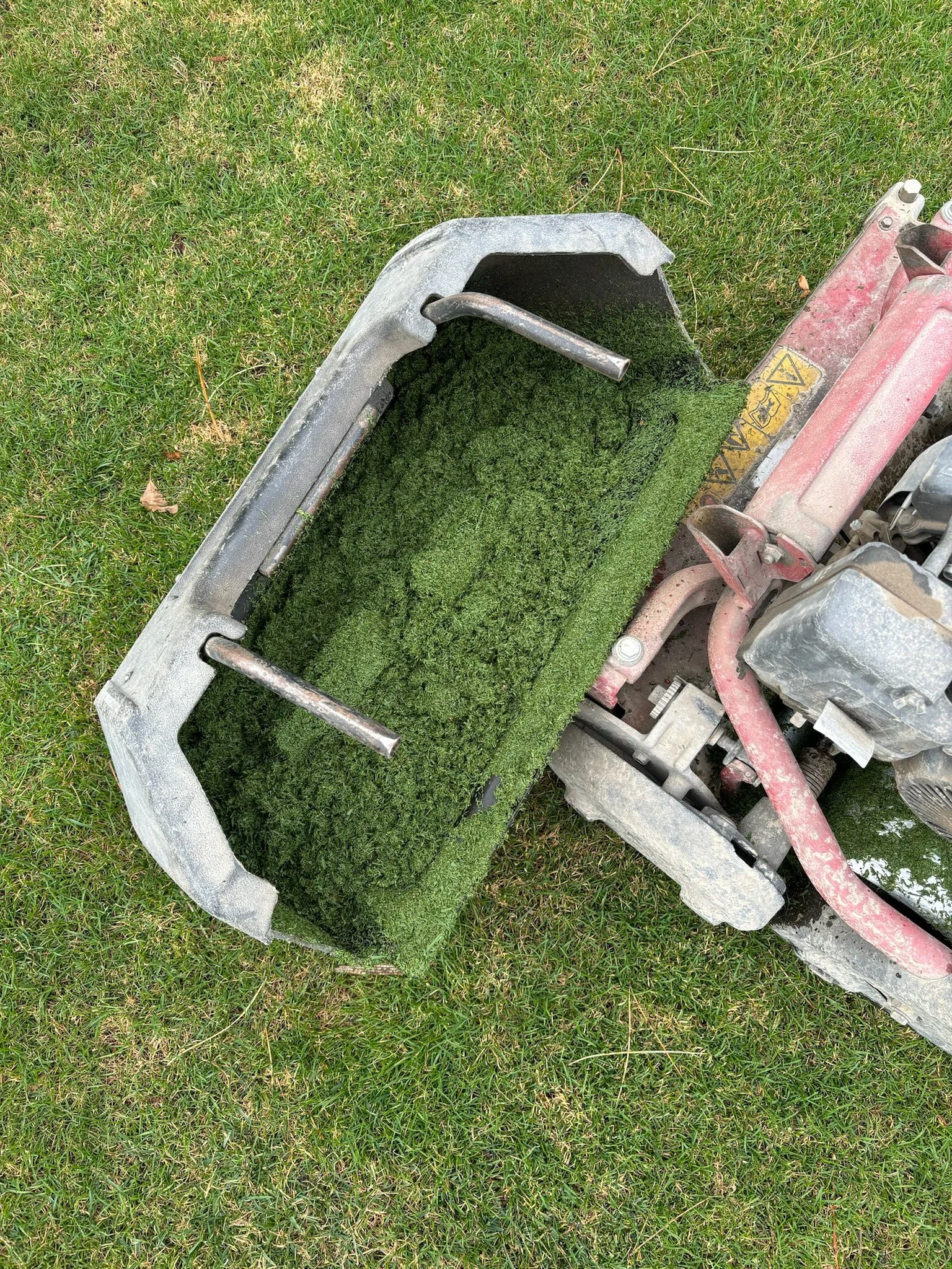A piece of outdoor equipment filled with freshly cut grass on a grassy lawn.