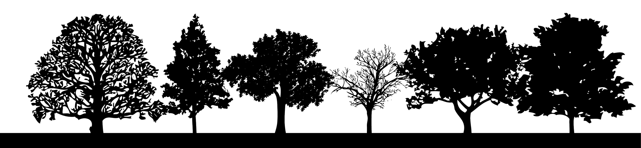 Outline drawing of six different trees in a row against a black background.