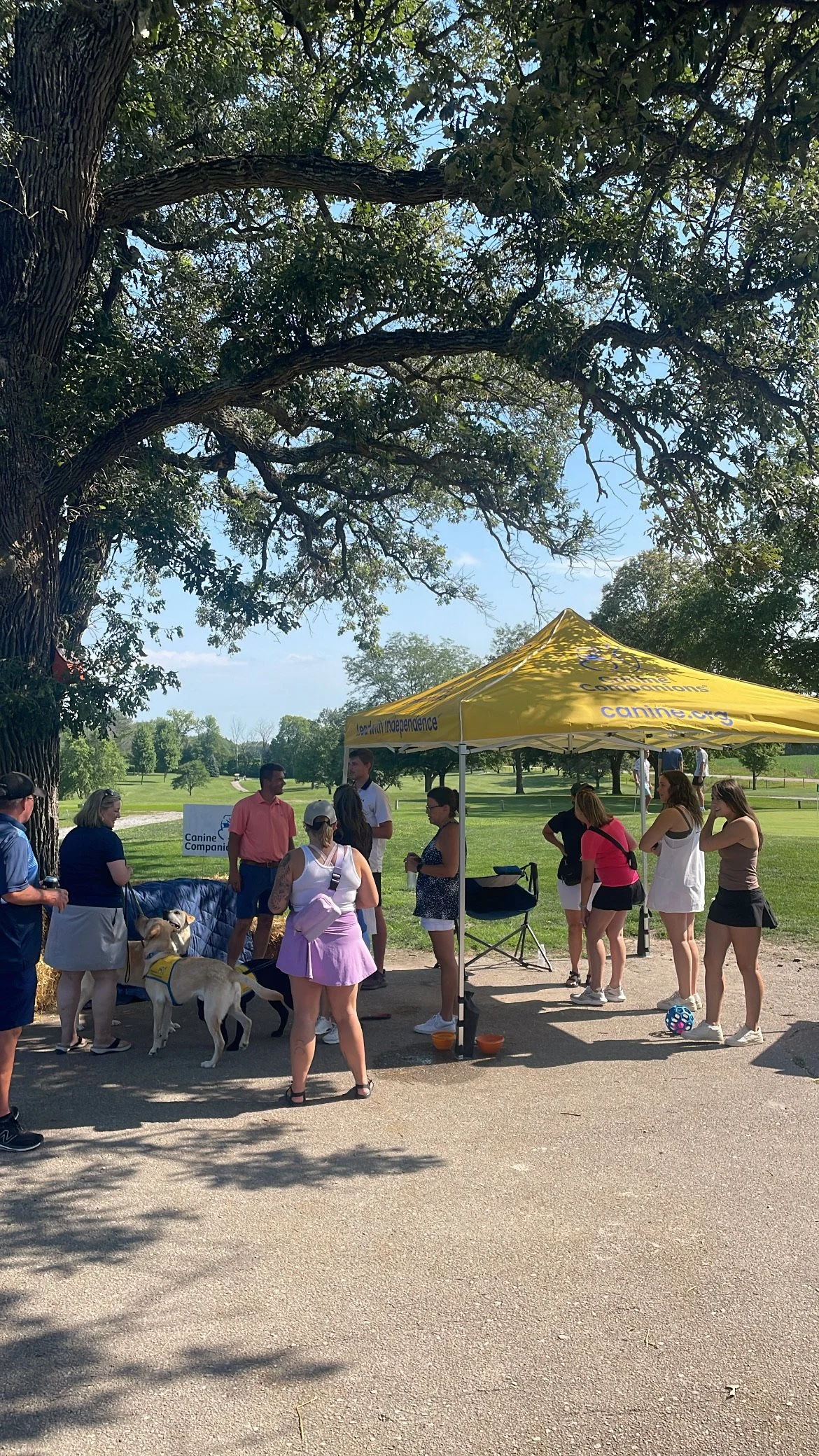 People gathered under a yellow canopy tent at a park, participating in a dog-related event, with large trees and a grassy field in the background.