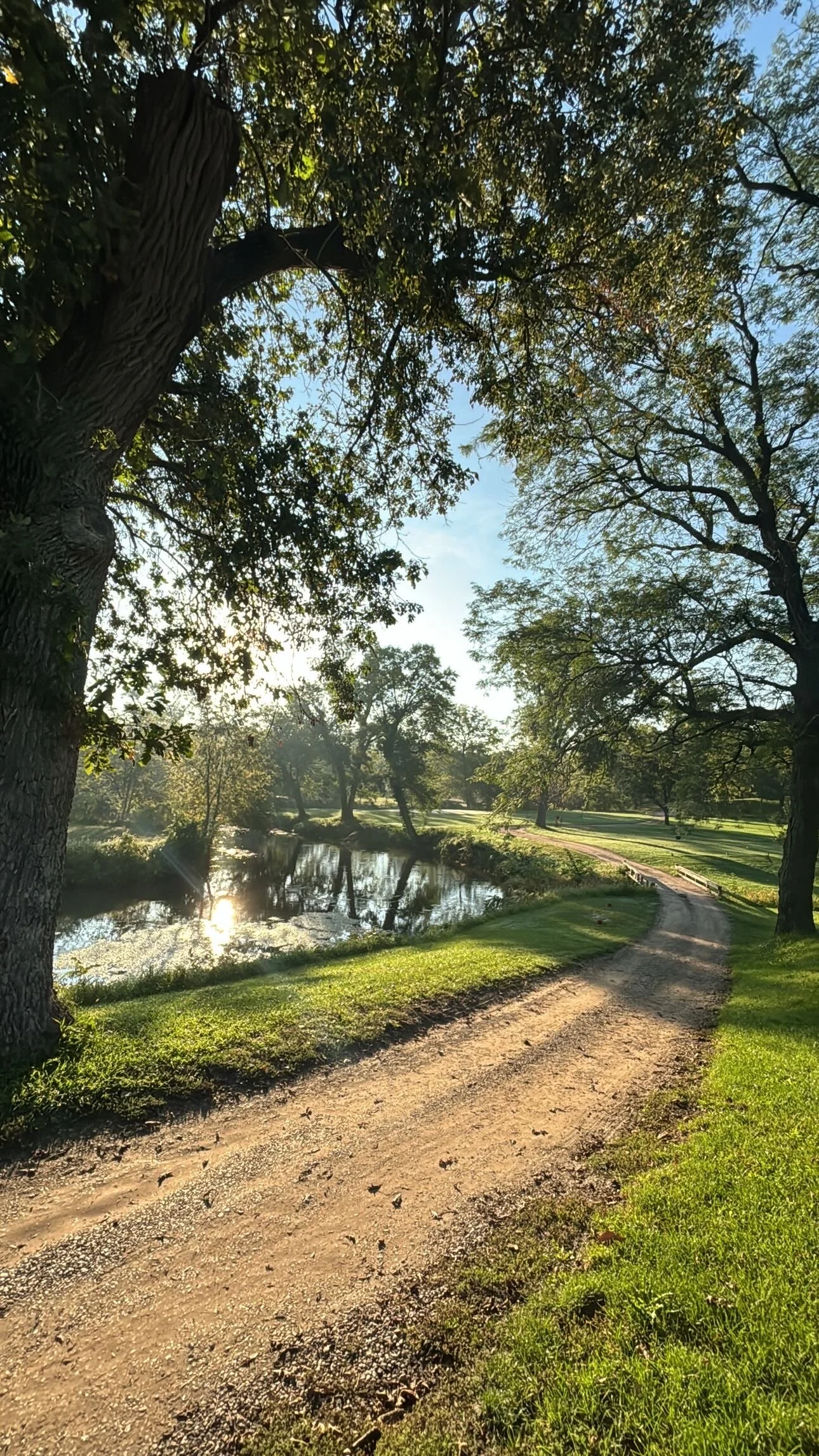 A scenic view of a park during sunset with tall trees, a small pond, and a dirt path winding through the grass.