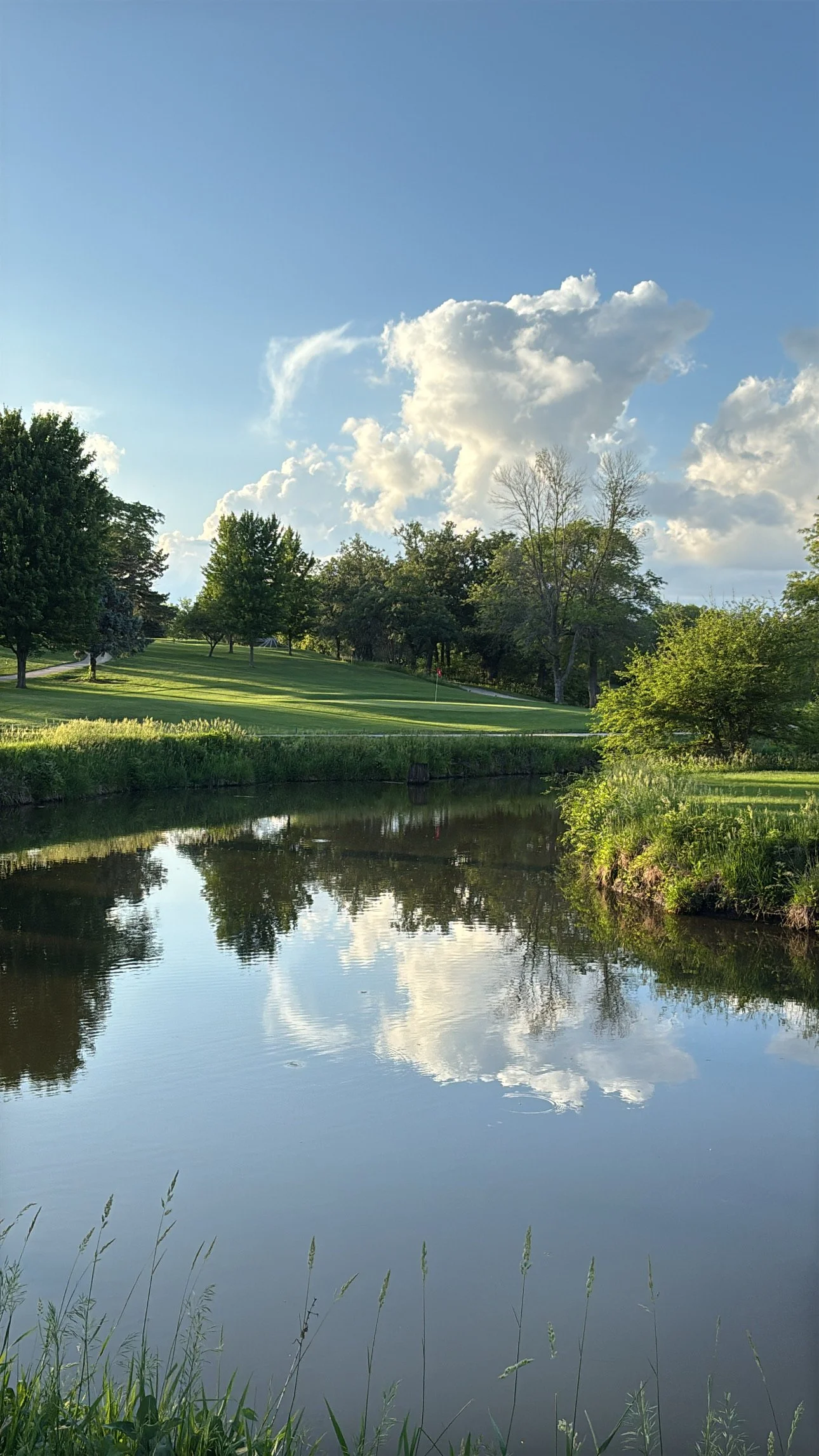A peaceful landscape with a small river reflecting the green trees and blue sky with white clouds, and a golf course in the background.