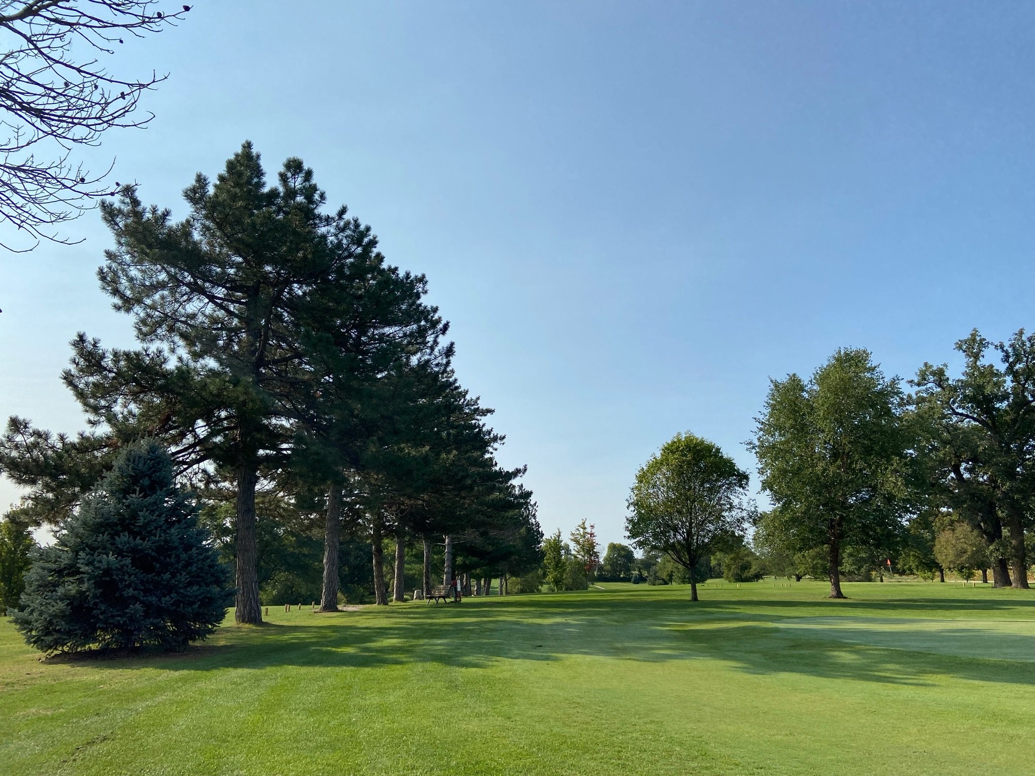 A clear blue sky over a landscaped park with various trees, including conifers and deciduous types, and a well-maintained grassy area with park benches and a walking path.