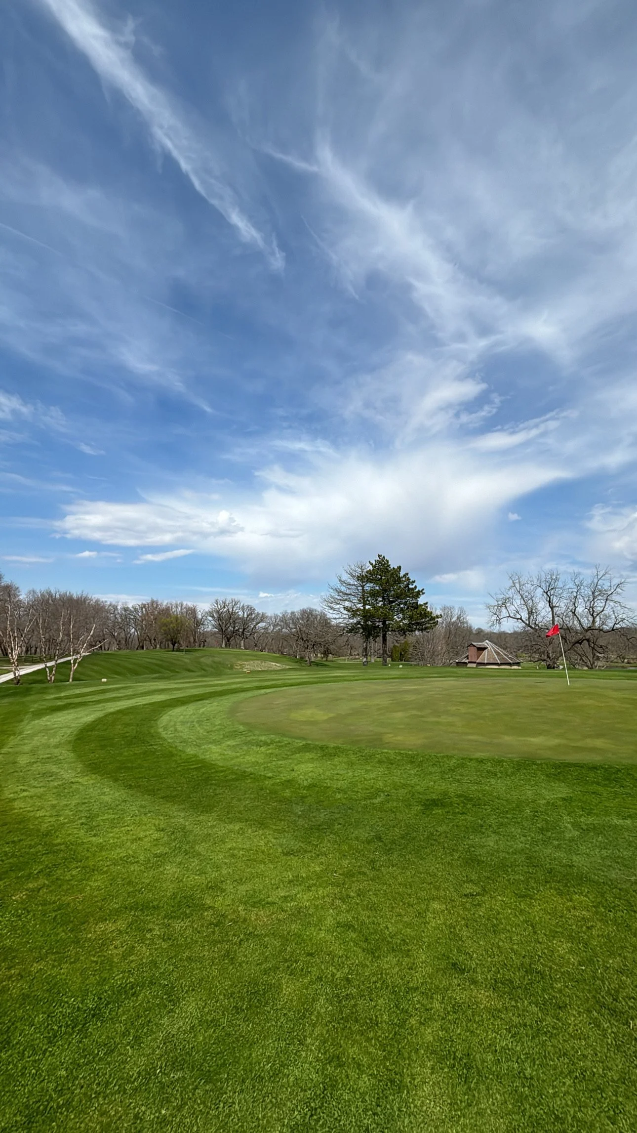 A golf course with meticulously maintained green grass, a flagstick marking the hole, and a backdrop of trees under a partly cloudy sky.