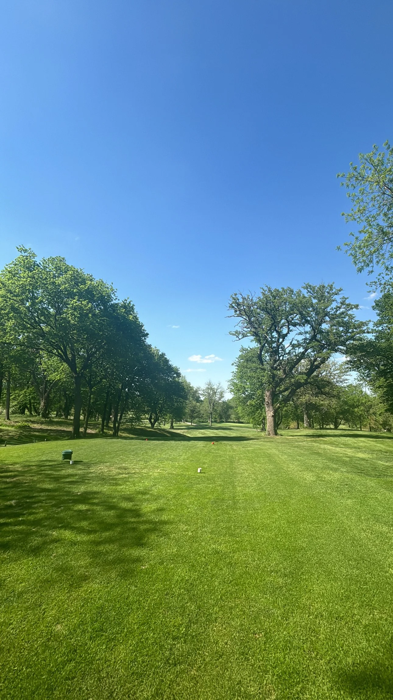 A golf course with lush green grass, trees, and a clear blue sky.