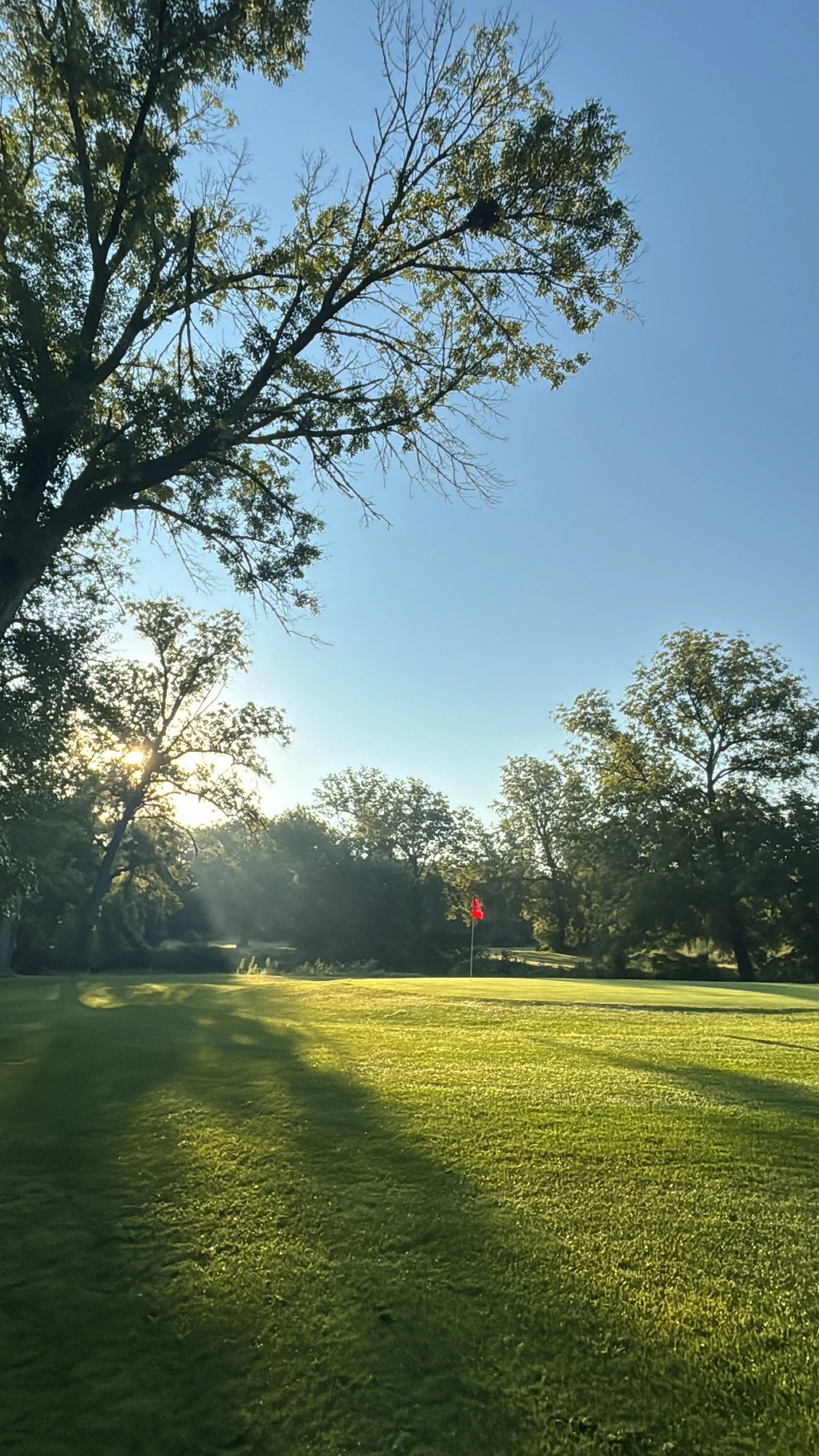 A golf course with a putting green, surrounded by trees, and a red flag marking the hole, with sunlight filtering through the trees.