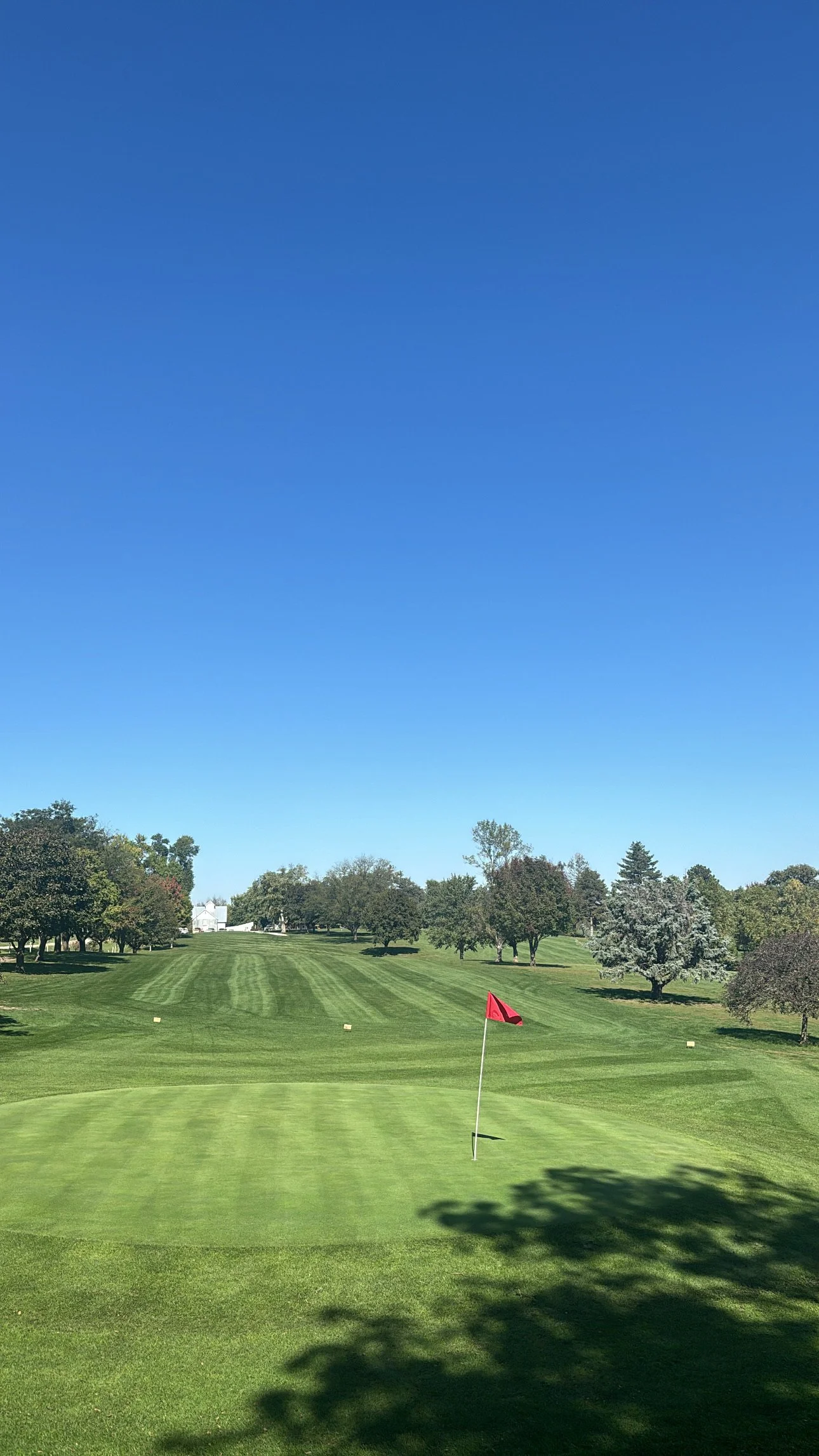 A golf course with a putting green, a flagstick, and a well-maintained fairway, surrounded by trees and a clear blue sky.