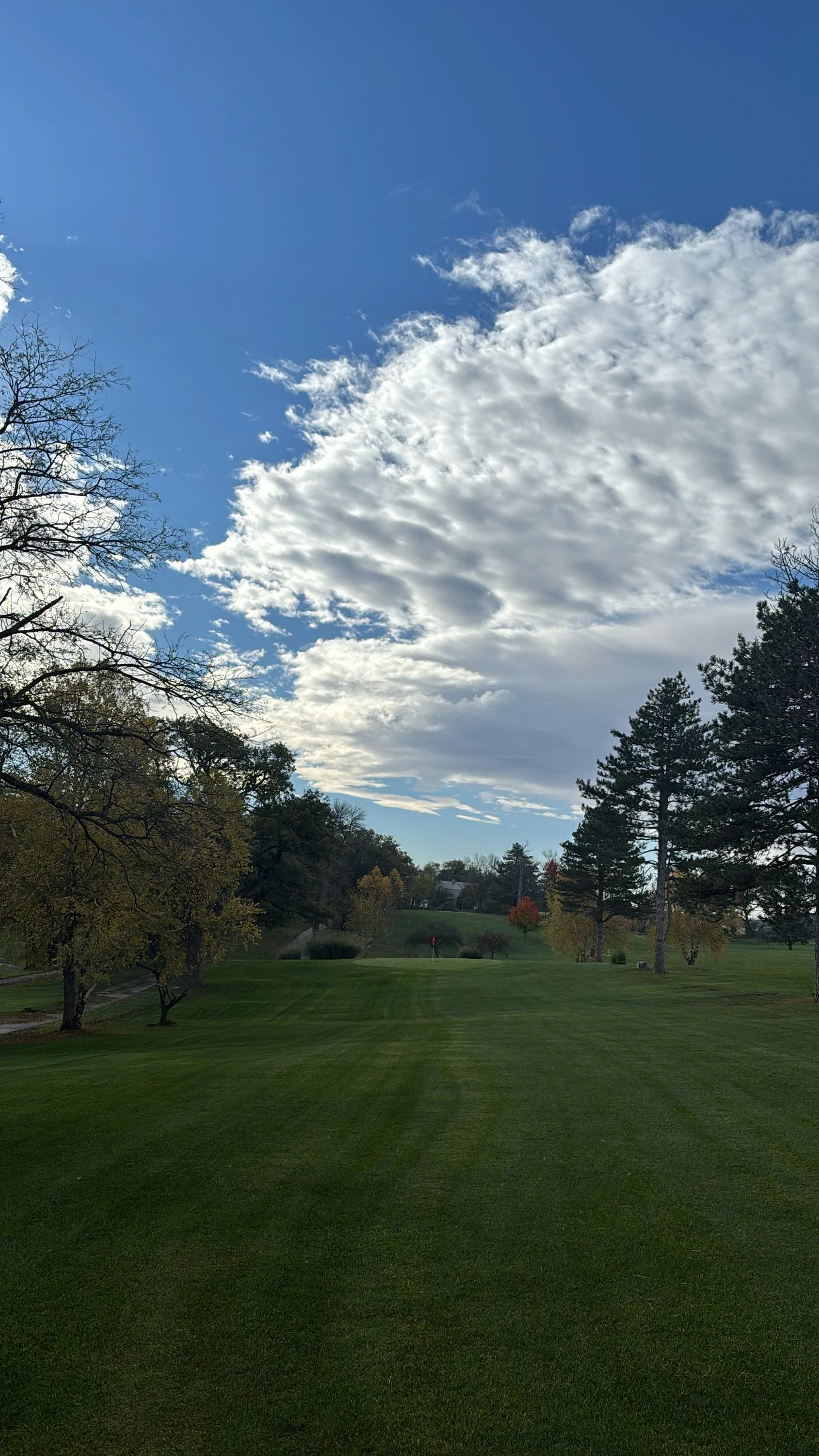 A lush green golf course with trees on both sides and a partly cloudy sky overhead.