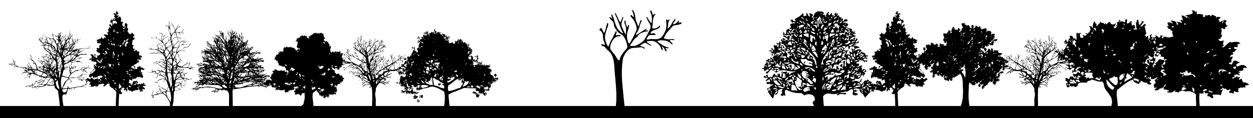 Line drawing of different types of trees in a row.
