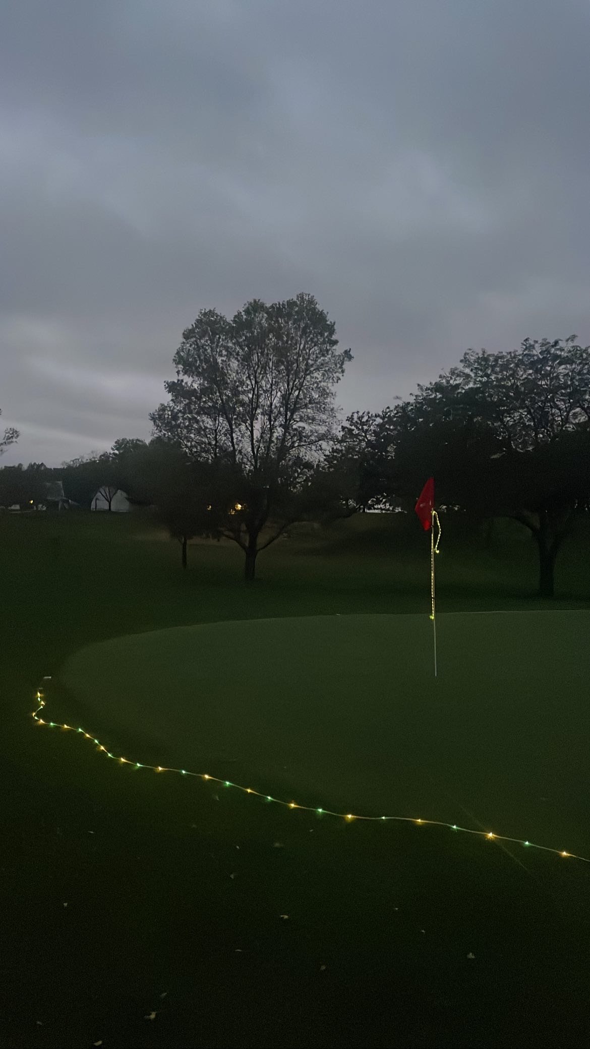 A golf course with a putting green, flagpole, and string of Christmas lights, with trees and overcast sky in the background.