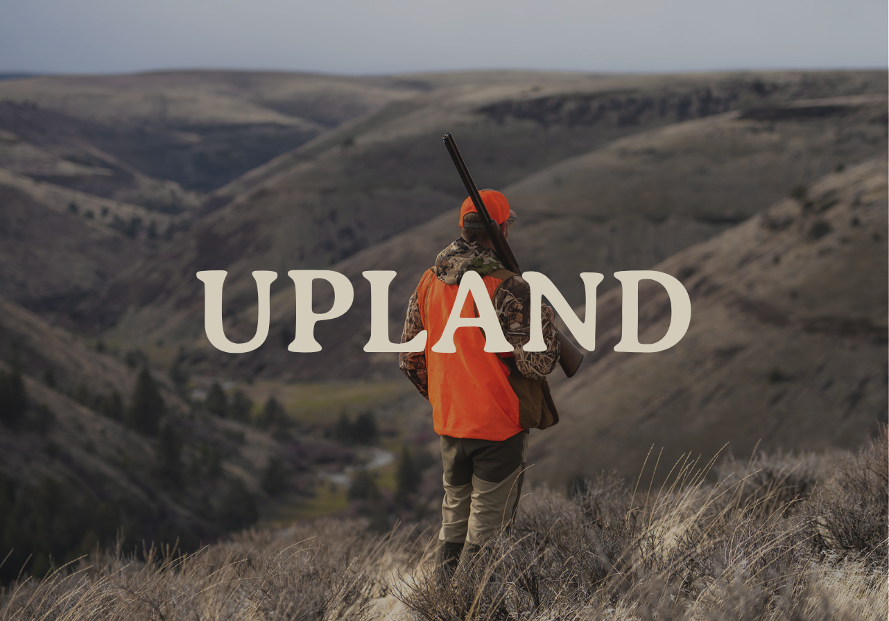 Upland hunter at Ruggs Ranch