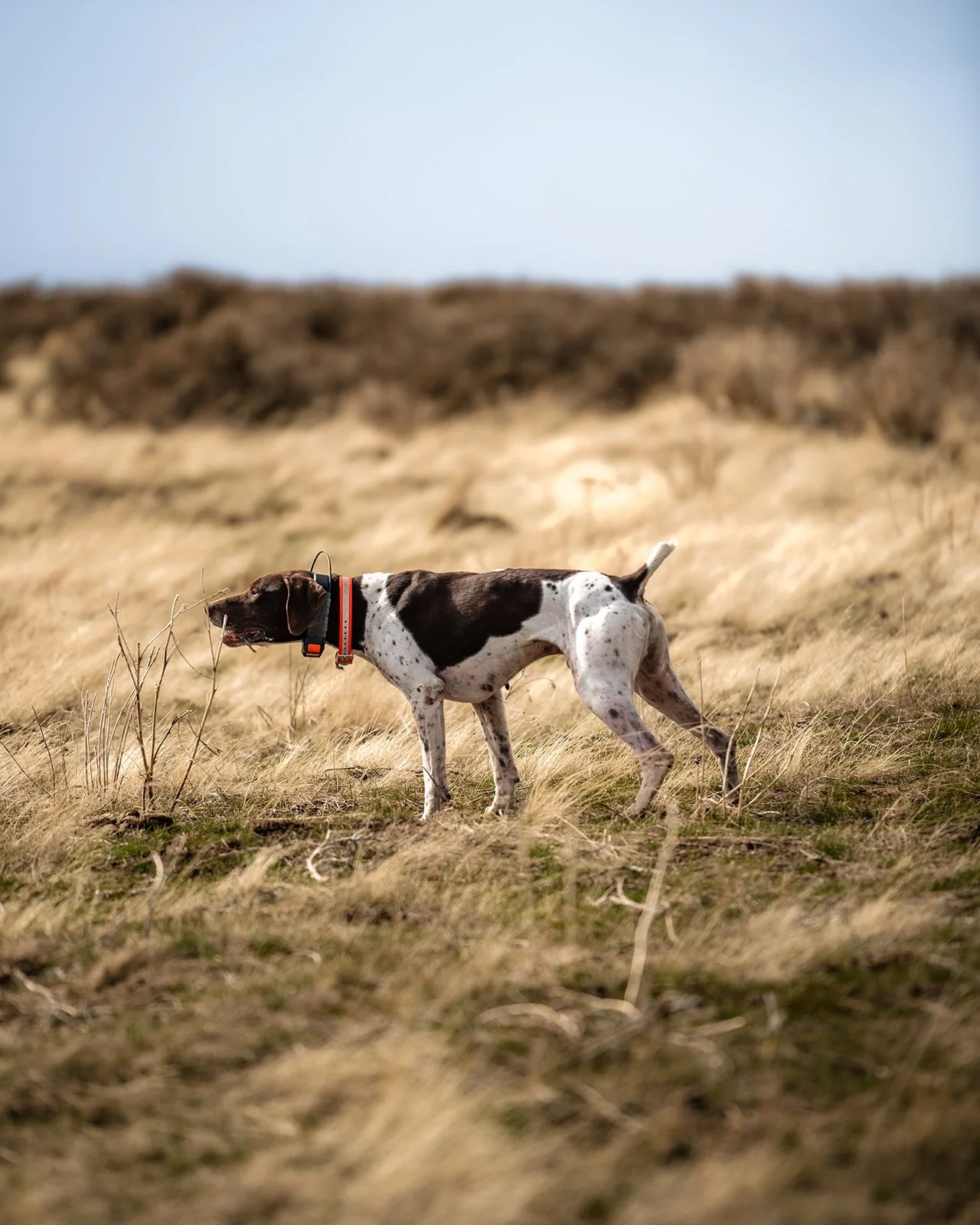 Hunts-147.jpg