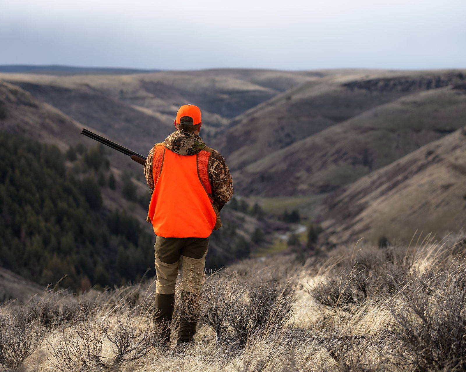 Hunts-168.jpg