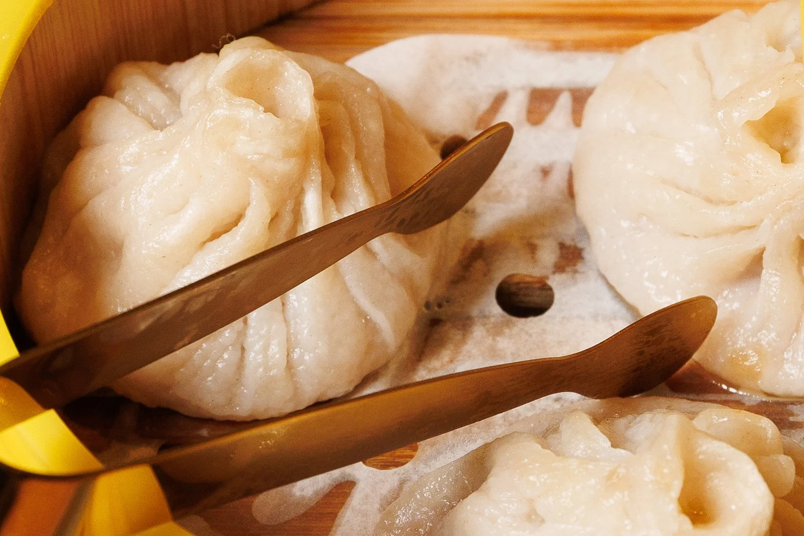 HANDMADE PORK SOUP DUMPLINGS