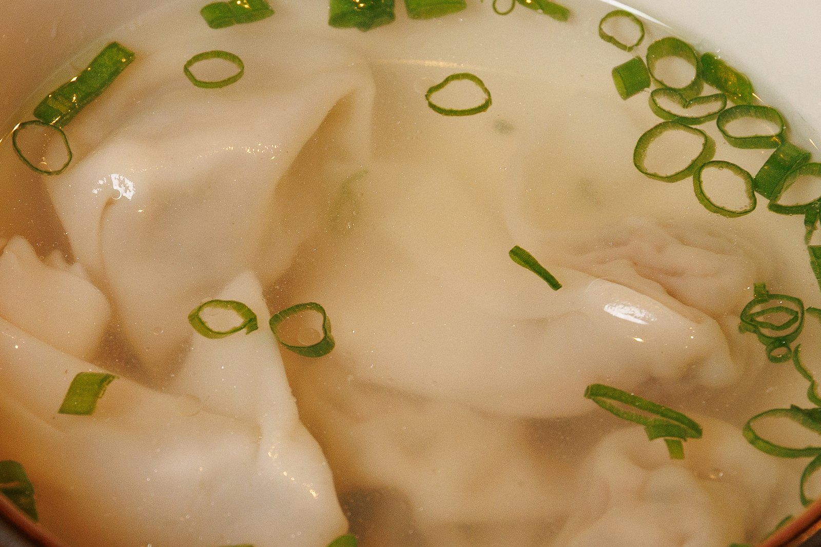 WONTON SOUP