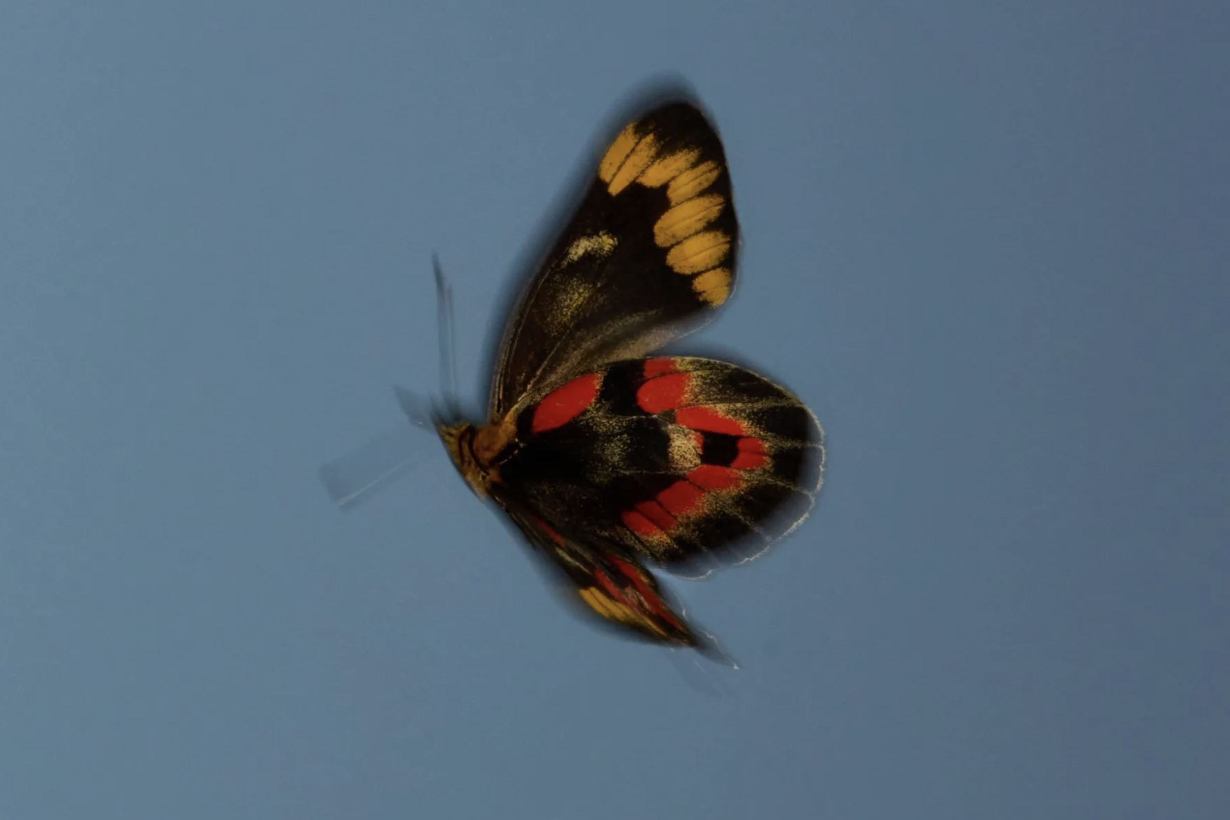 On Transitions: Riding the Winds of Change