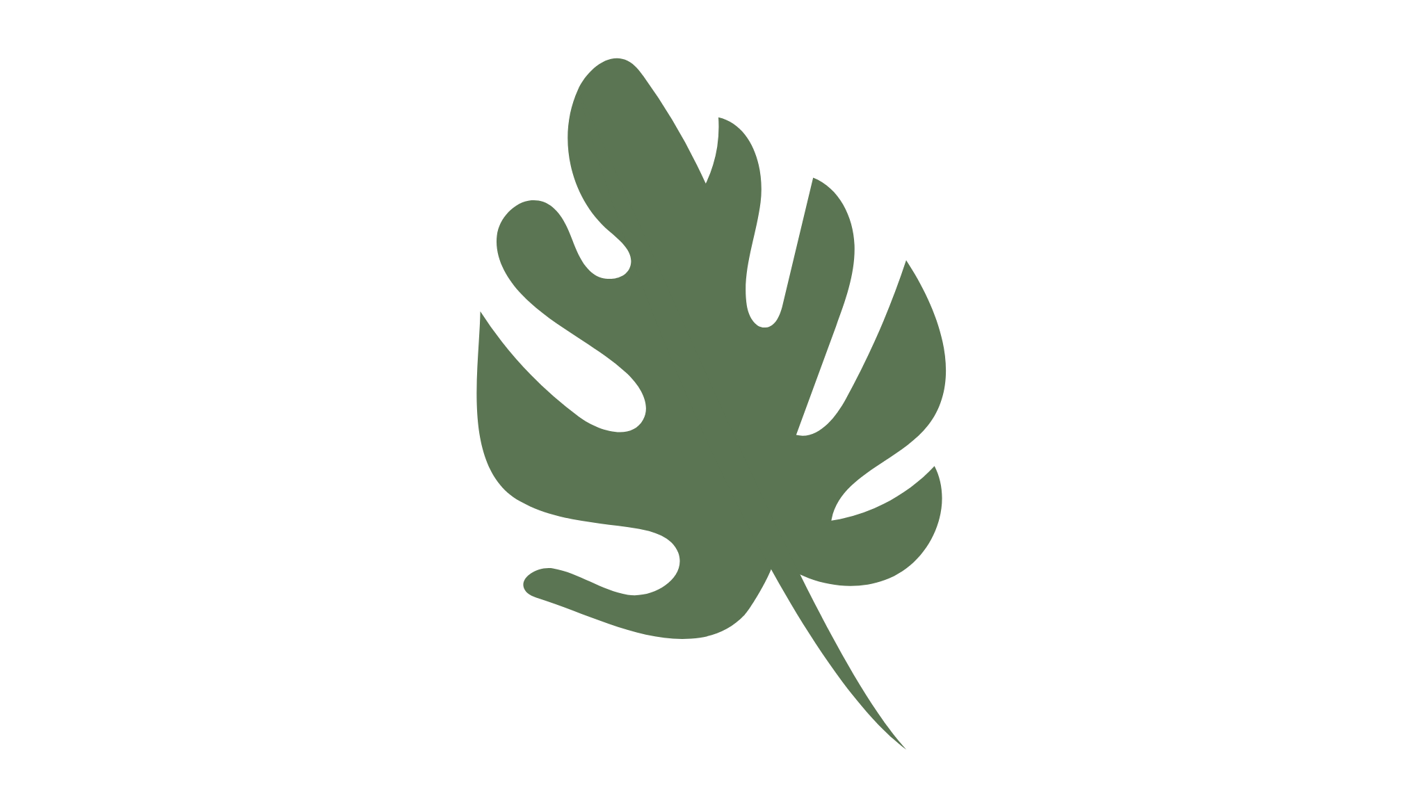 A minimalist illustration of a green monstera leaf with black background.