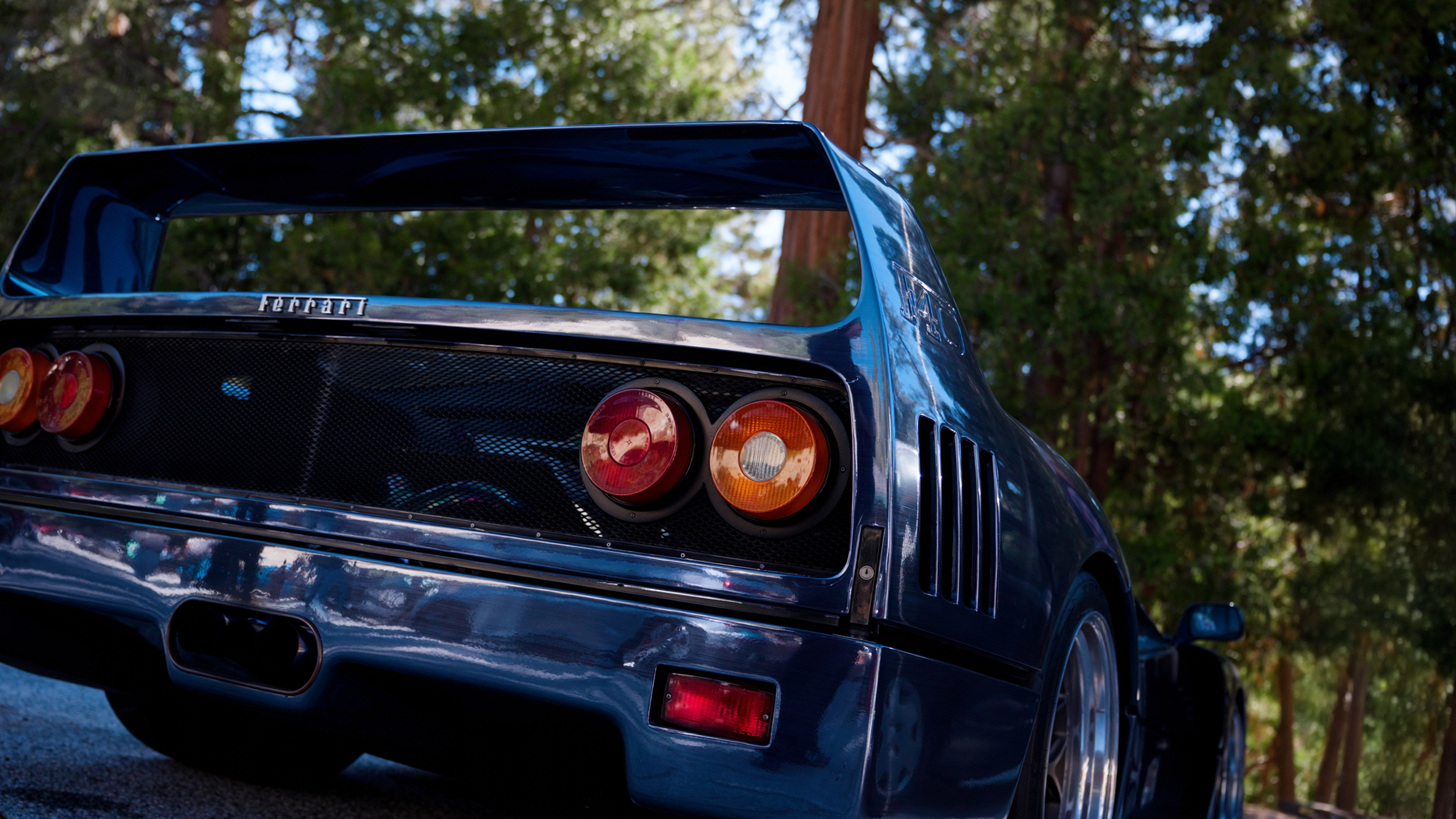 F40 In The Woods