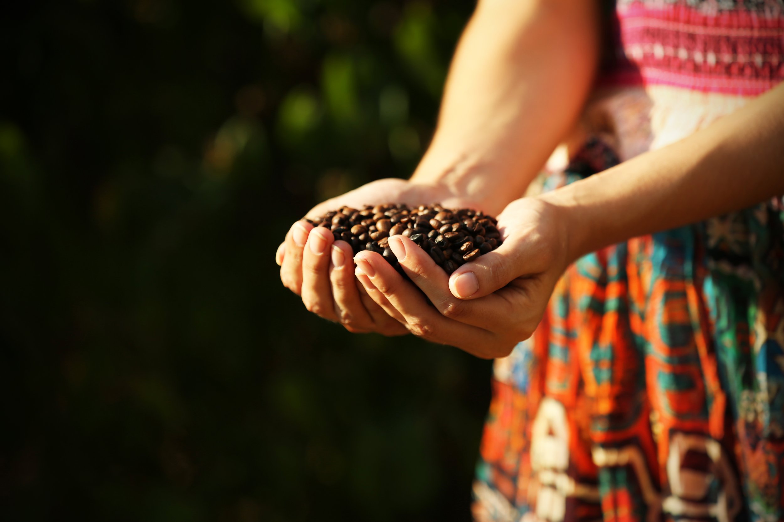 woman-holds-hands-roasted-coffee-beans-close-up.jpg
