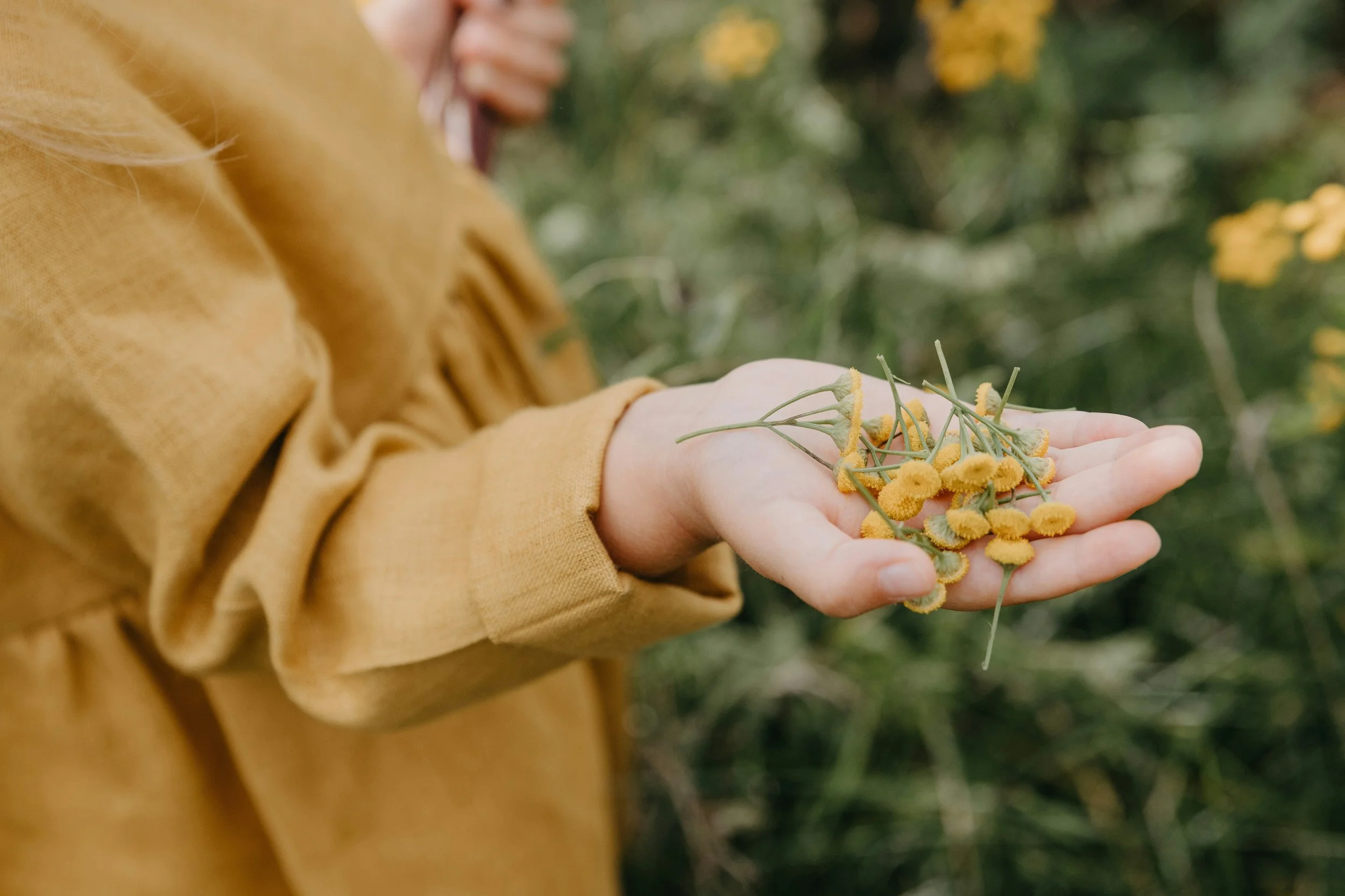 What's on our nature table right now (and how to start one with your kids)