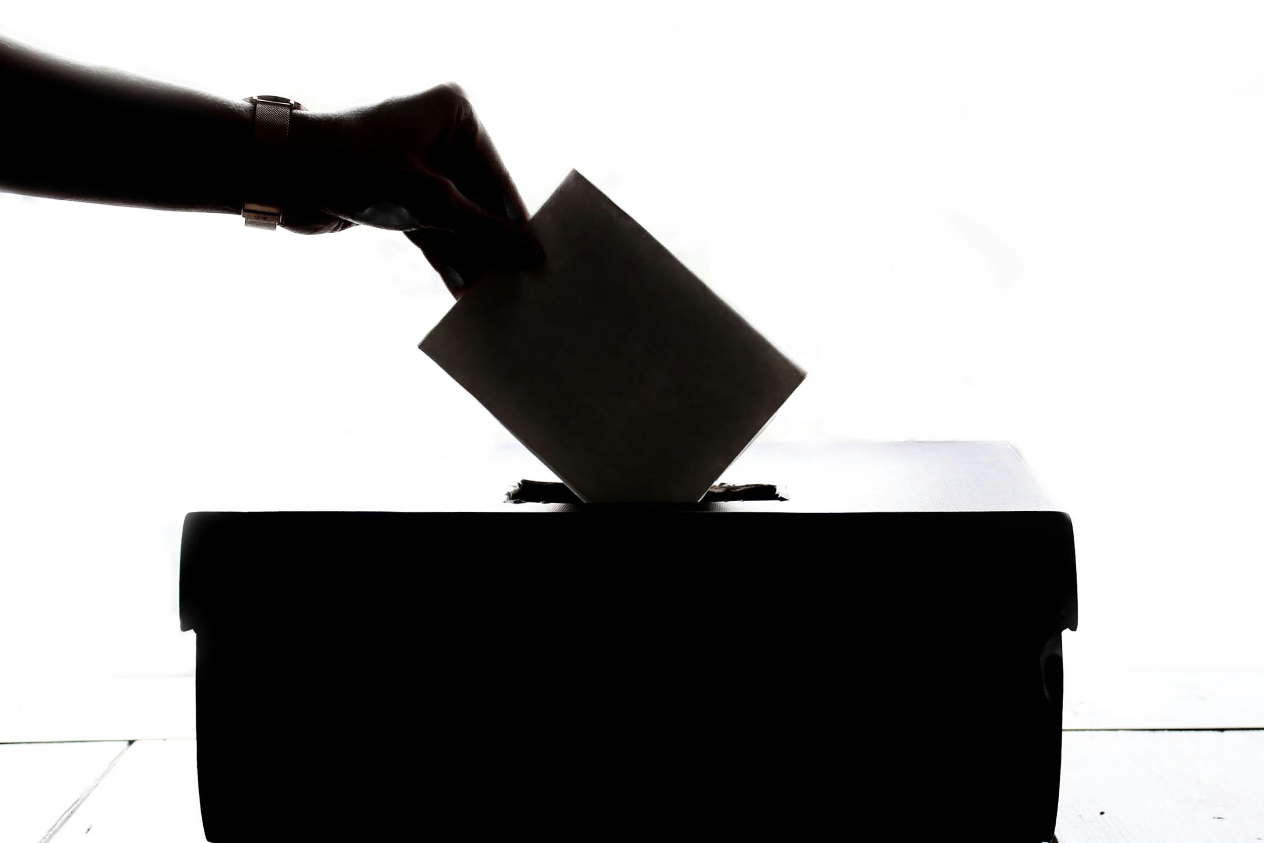 Officially on the Ballot