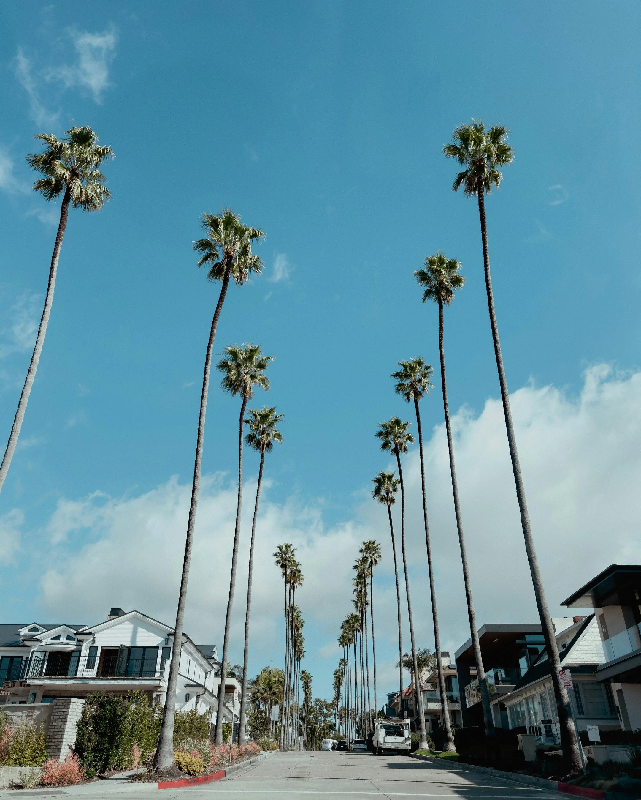 Street view of a neighborhood with modern white houses and tall palm trees lining the street on a bright, sunny day.