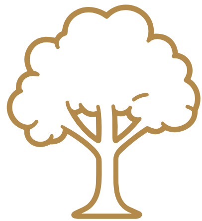 Simple line drawing of a tree with a rounded canopy and a trunk.