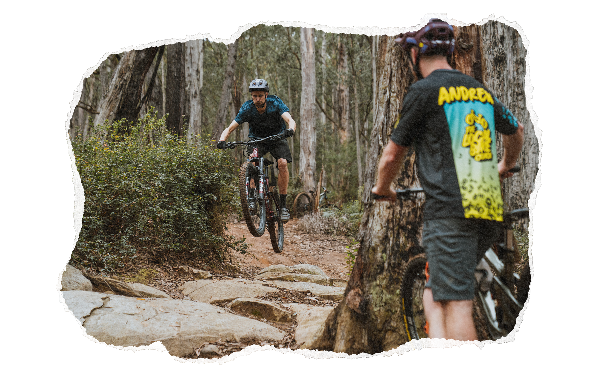 Two mountain bikers riding on a dirt trail through a forest, with one rider jumping over rocks and the other standing behind a tree watching.