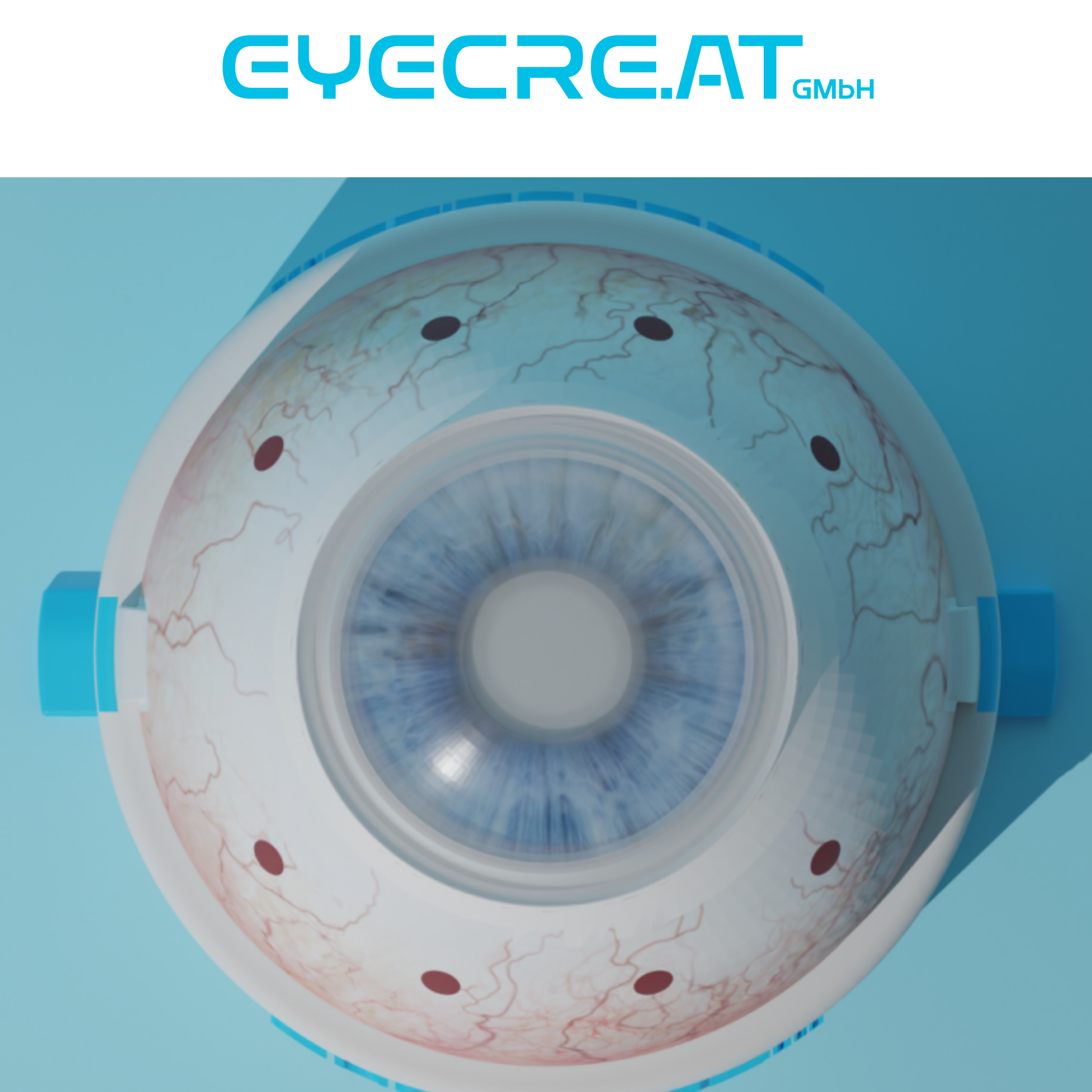 Eye 4 VIT/CAT