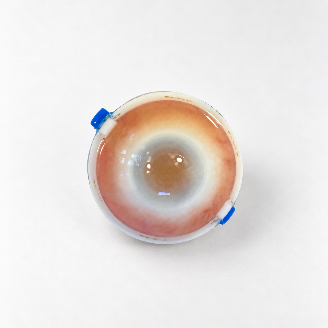 Eye 4 Suturing - Pack of 6