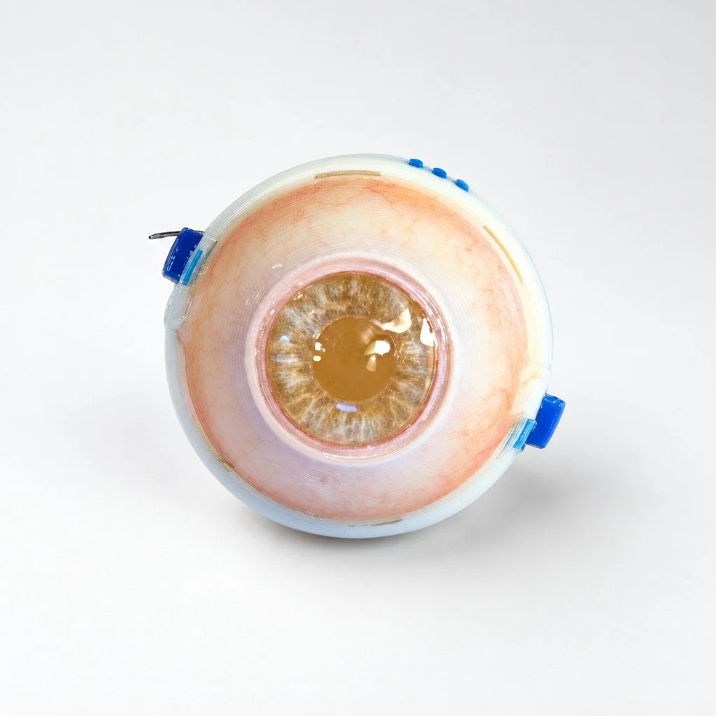 Eye 4 SchlemmSim Pro - Pack of 6