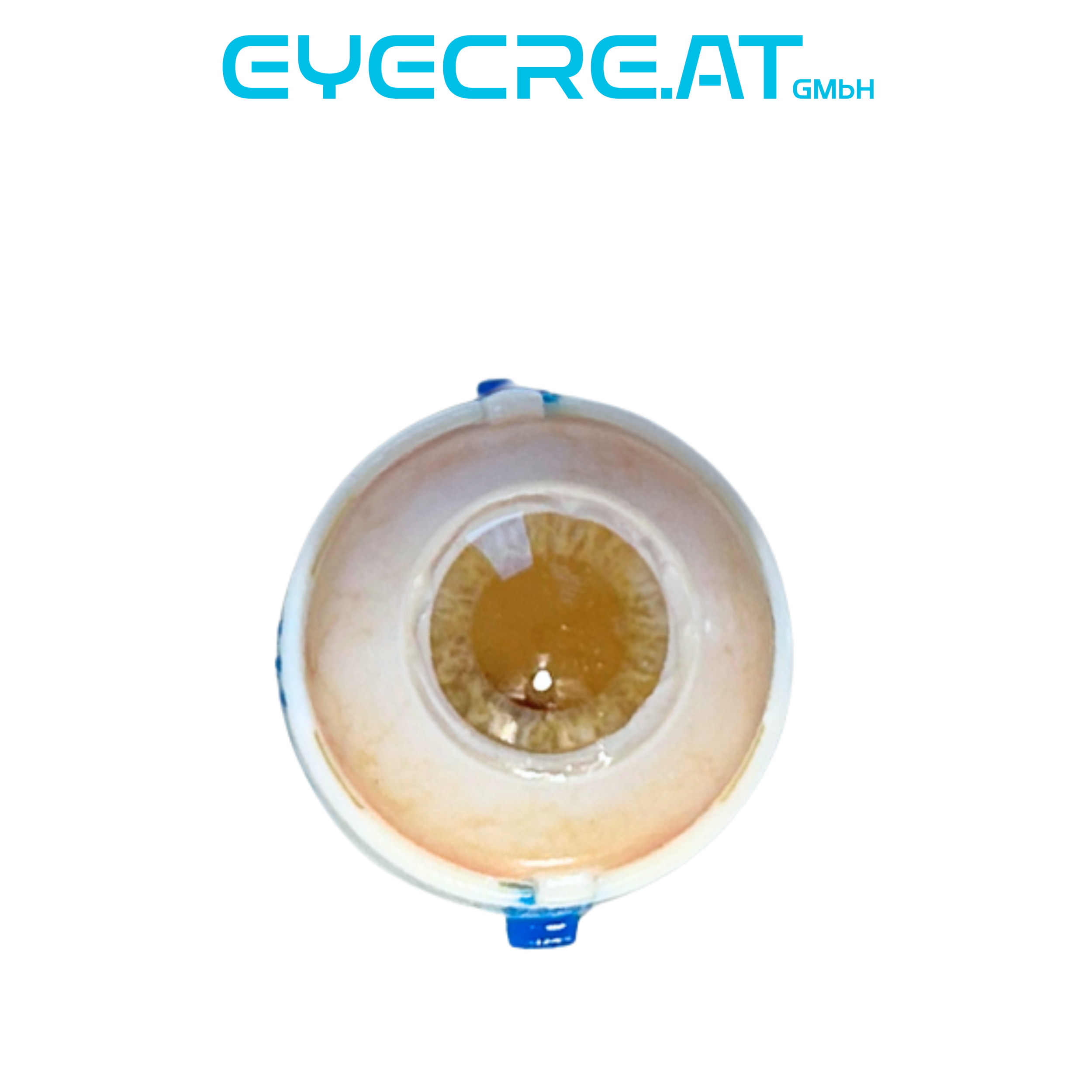 Eye 4 ICL Implantation