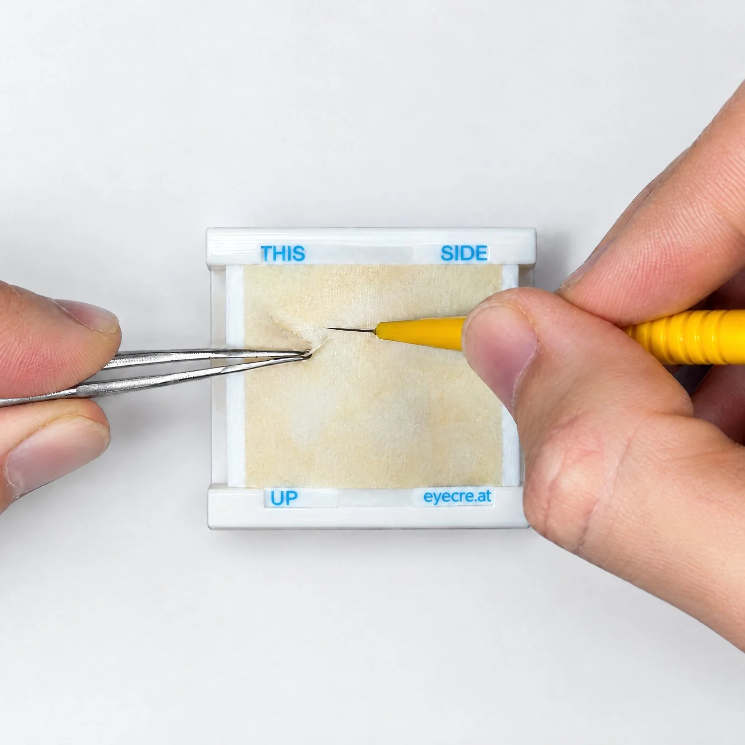 Tying a suture knot on the conjunctival training pad of the Kit 4 Conjunctival Suturing, eyecre.at