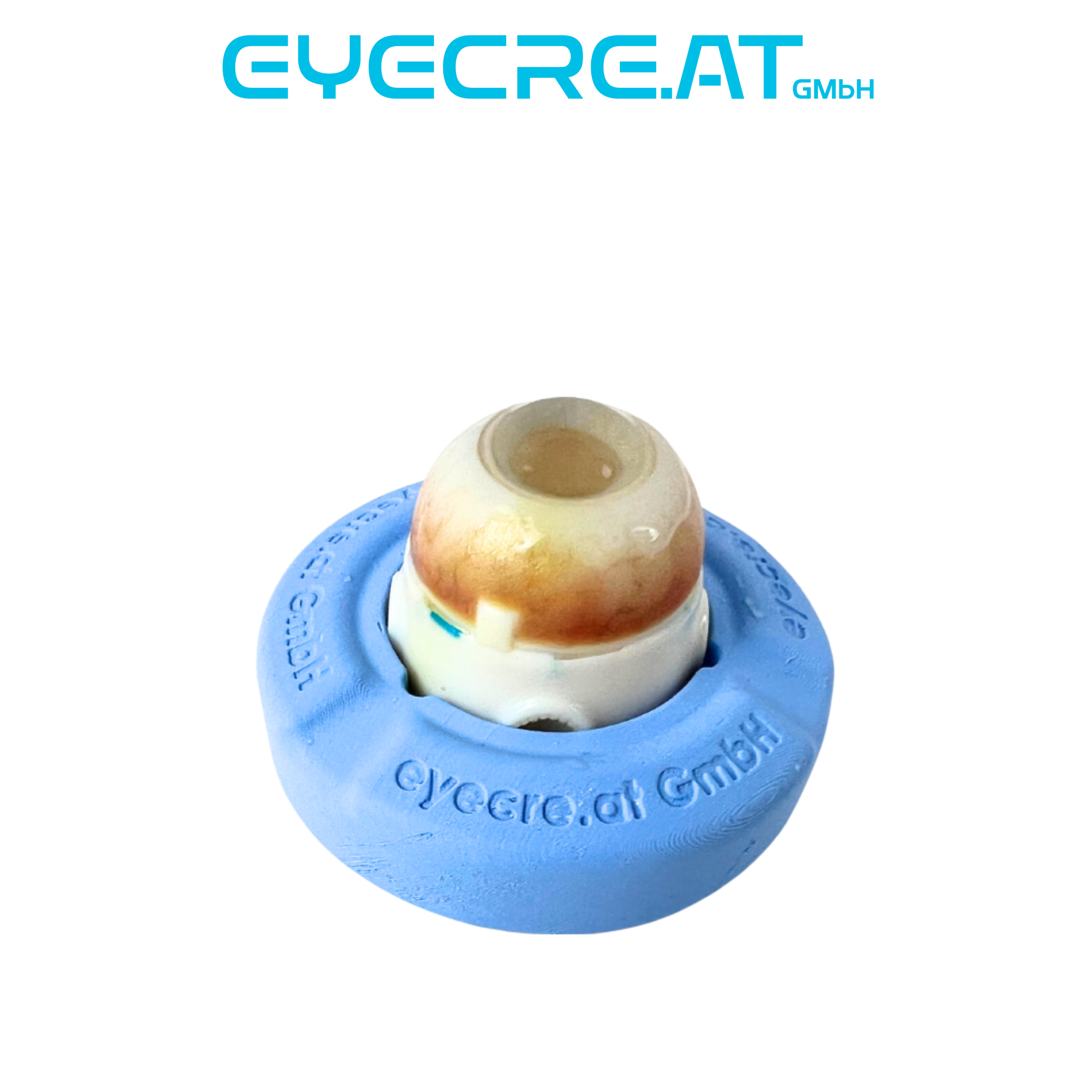 Eye 4 Ab-Interno Canaloplasty