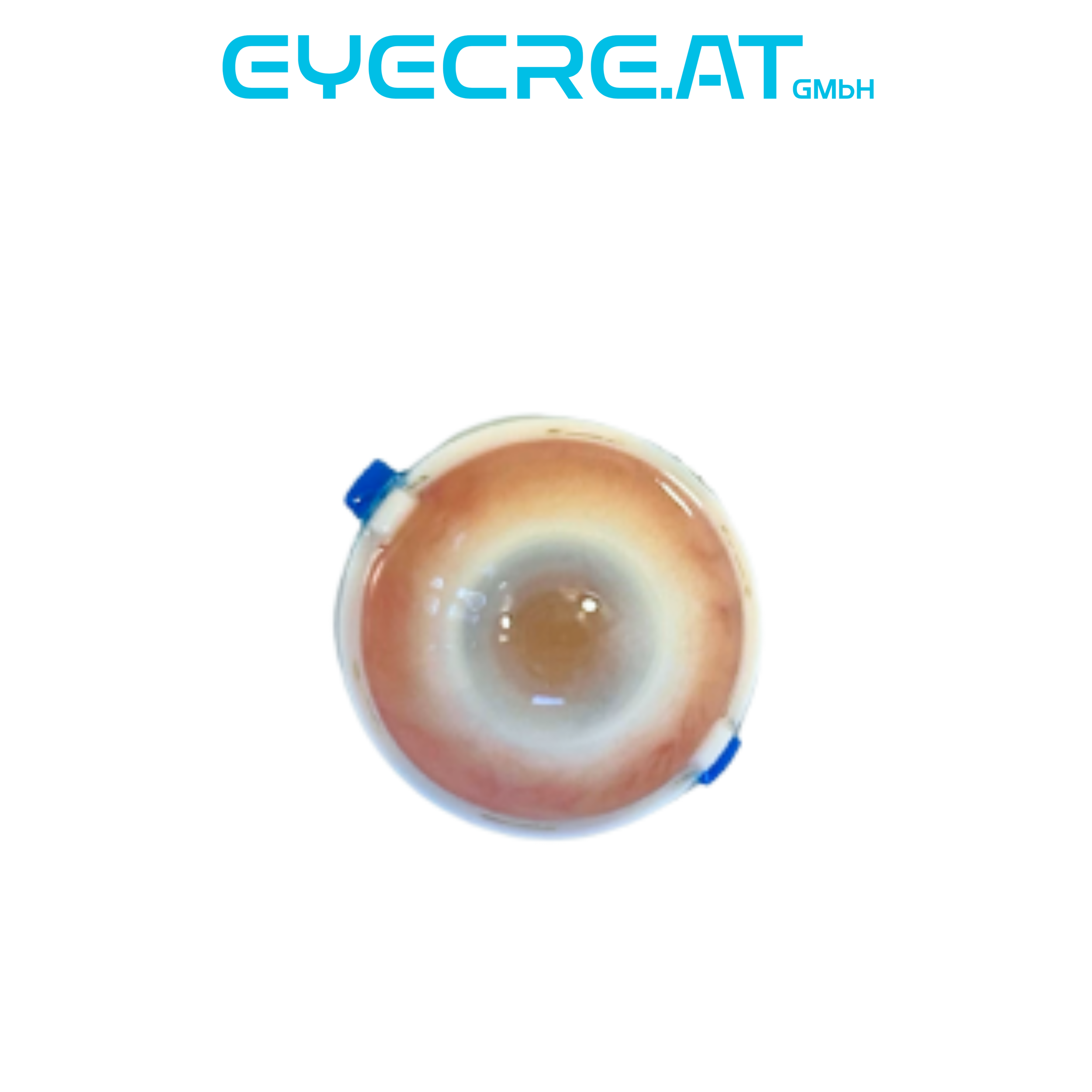 Eye 4 Suturing