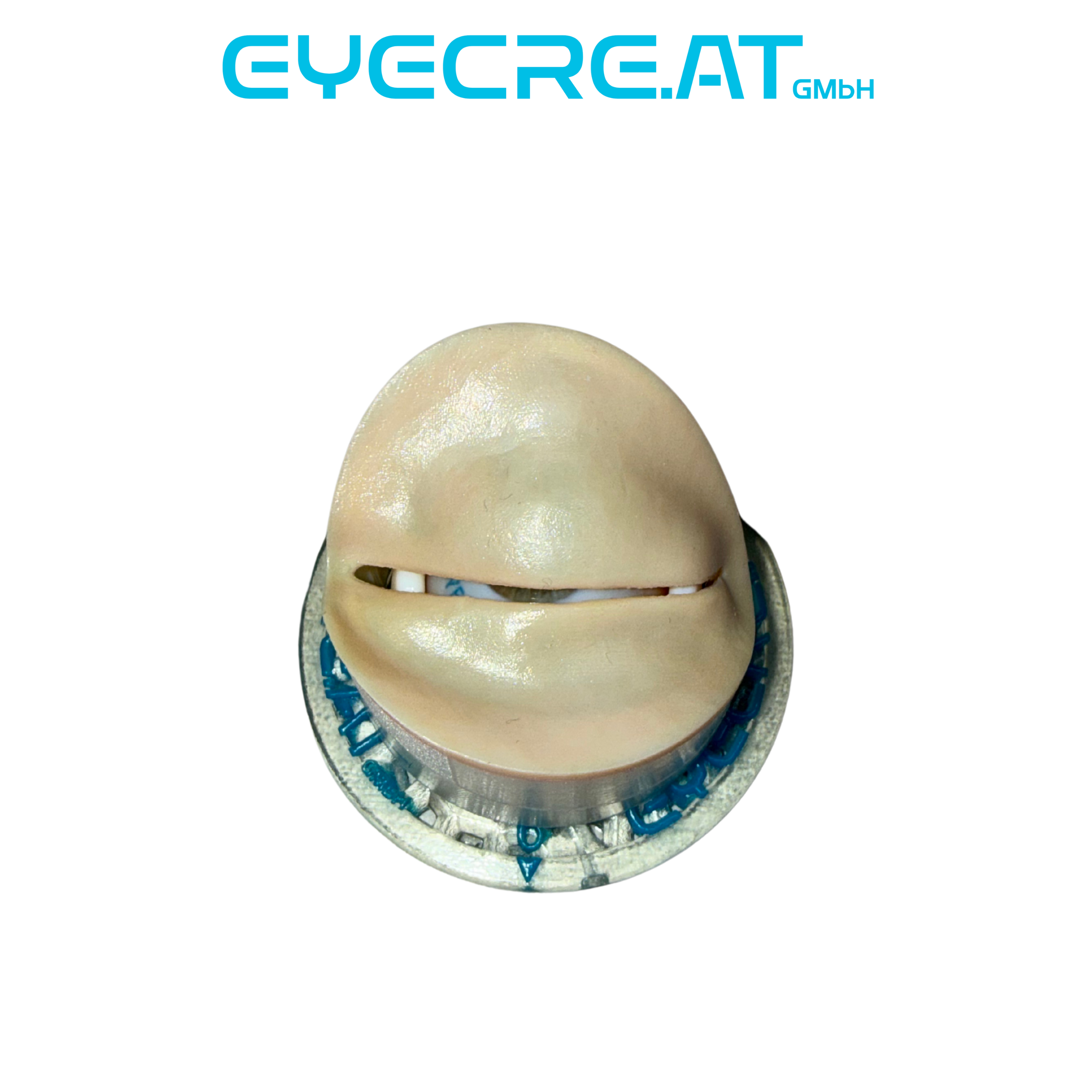 lid.png