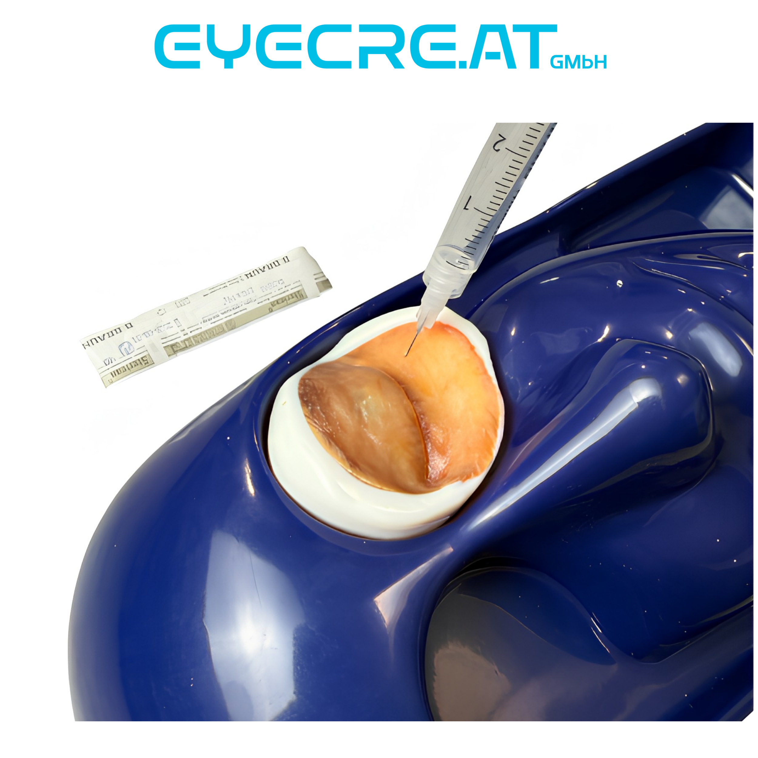 Kit 4 Retrobulbar Anesthesia Model