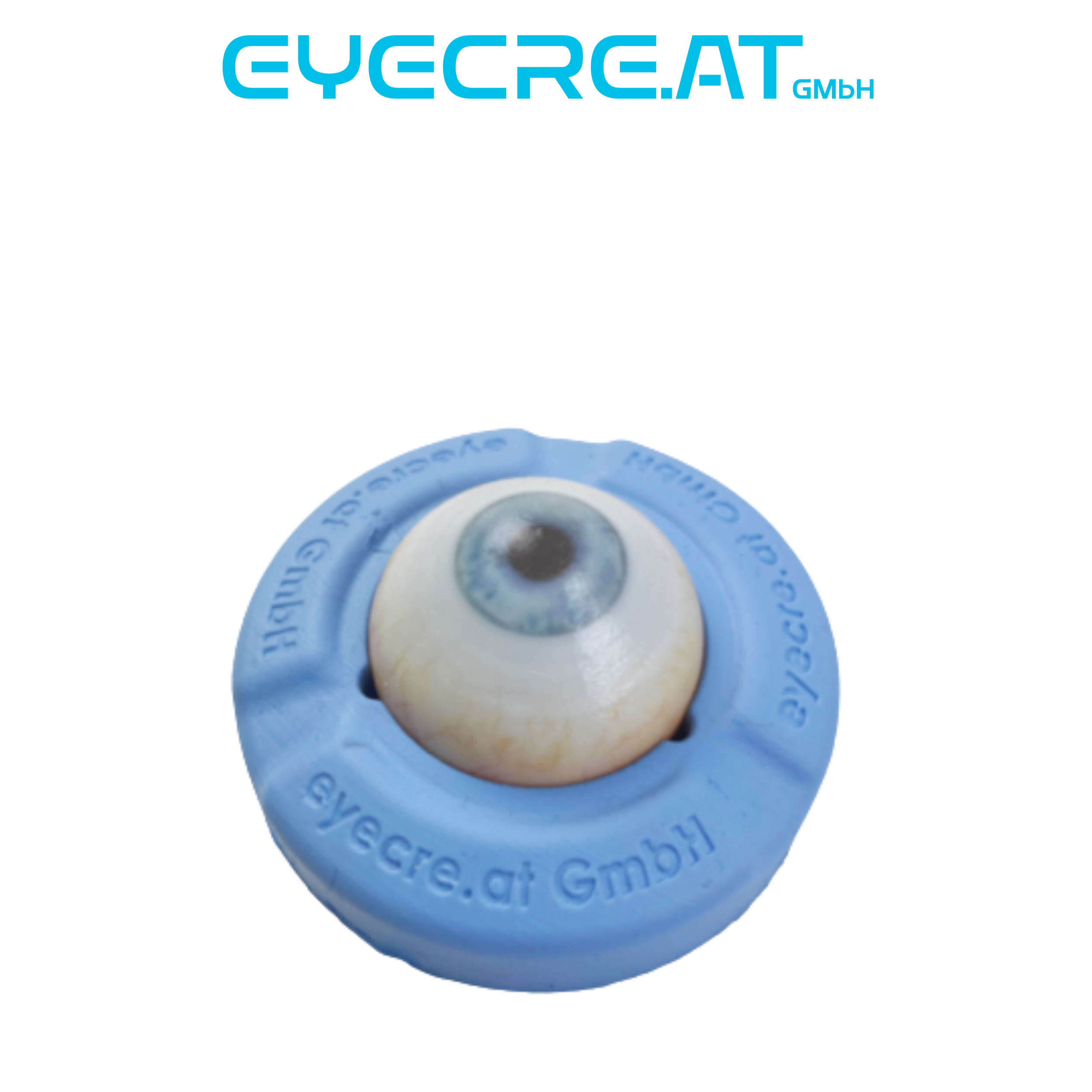 Eye 4 Demonstration and IVT