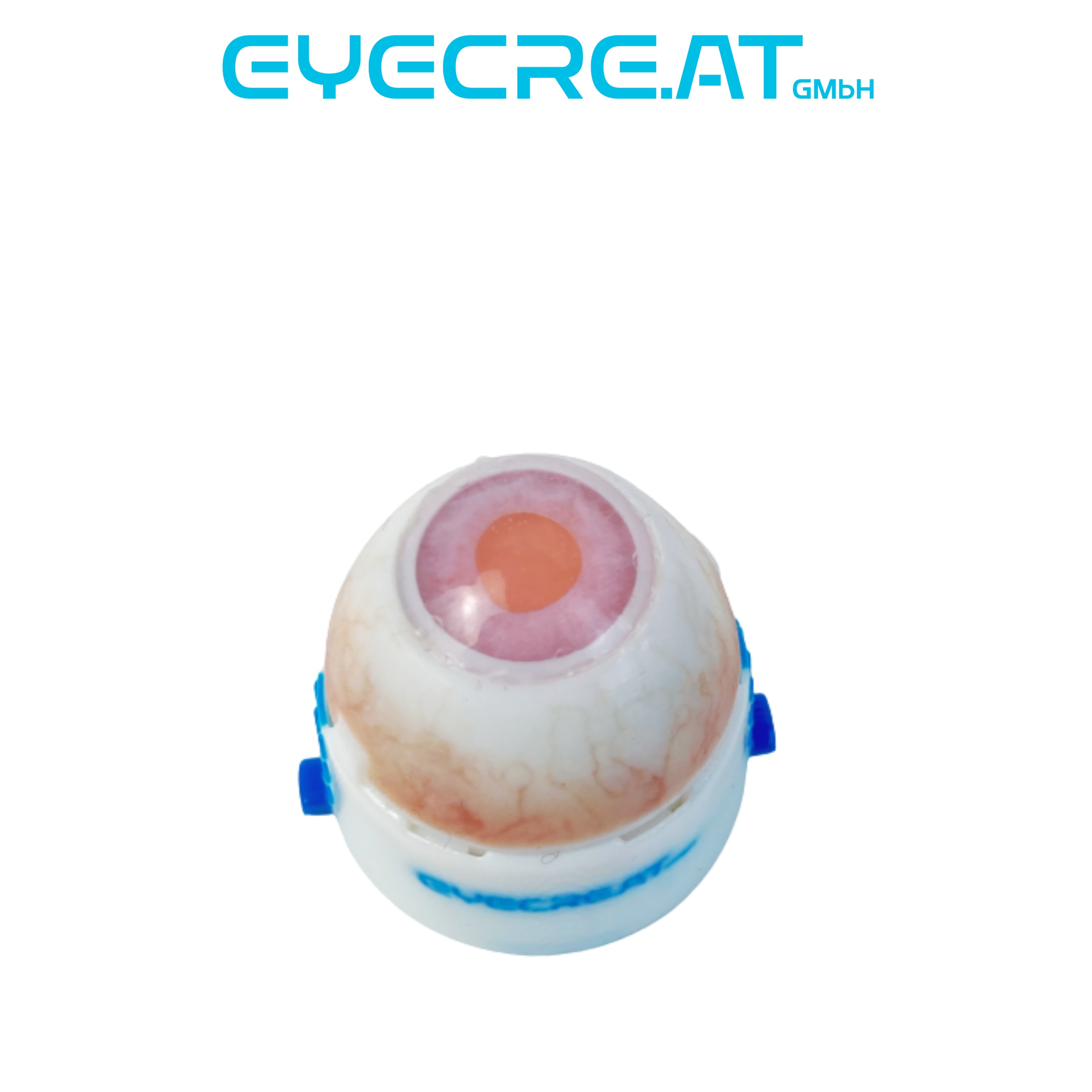 Eye 4 Iris Prosthesis