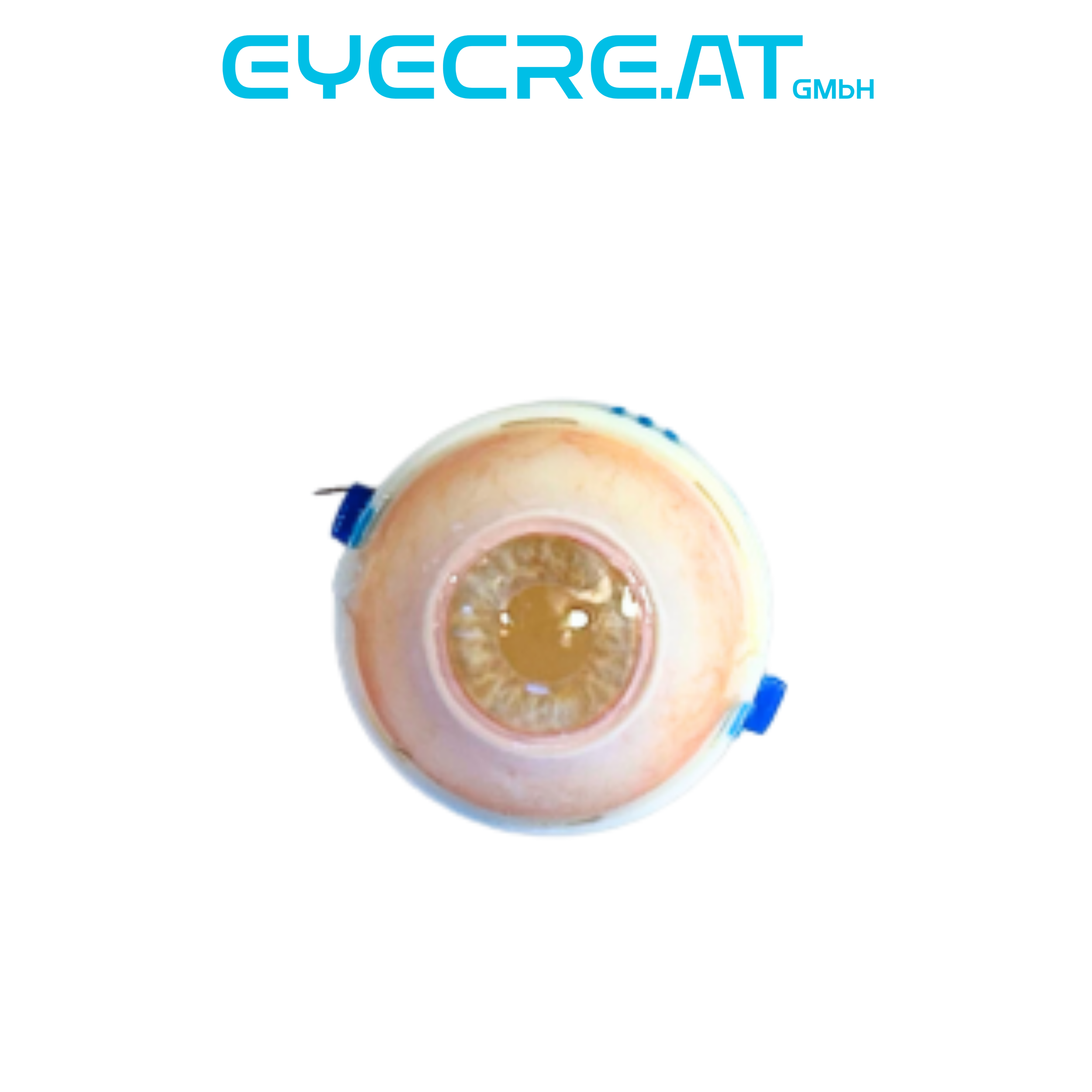 Eye 4 SchlemmSim Pro