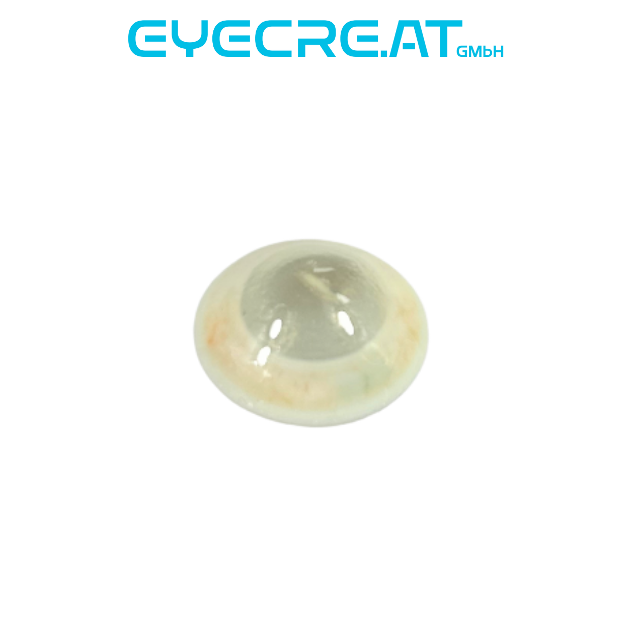Donor 4 Layered Cornea - Pack of 6