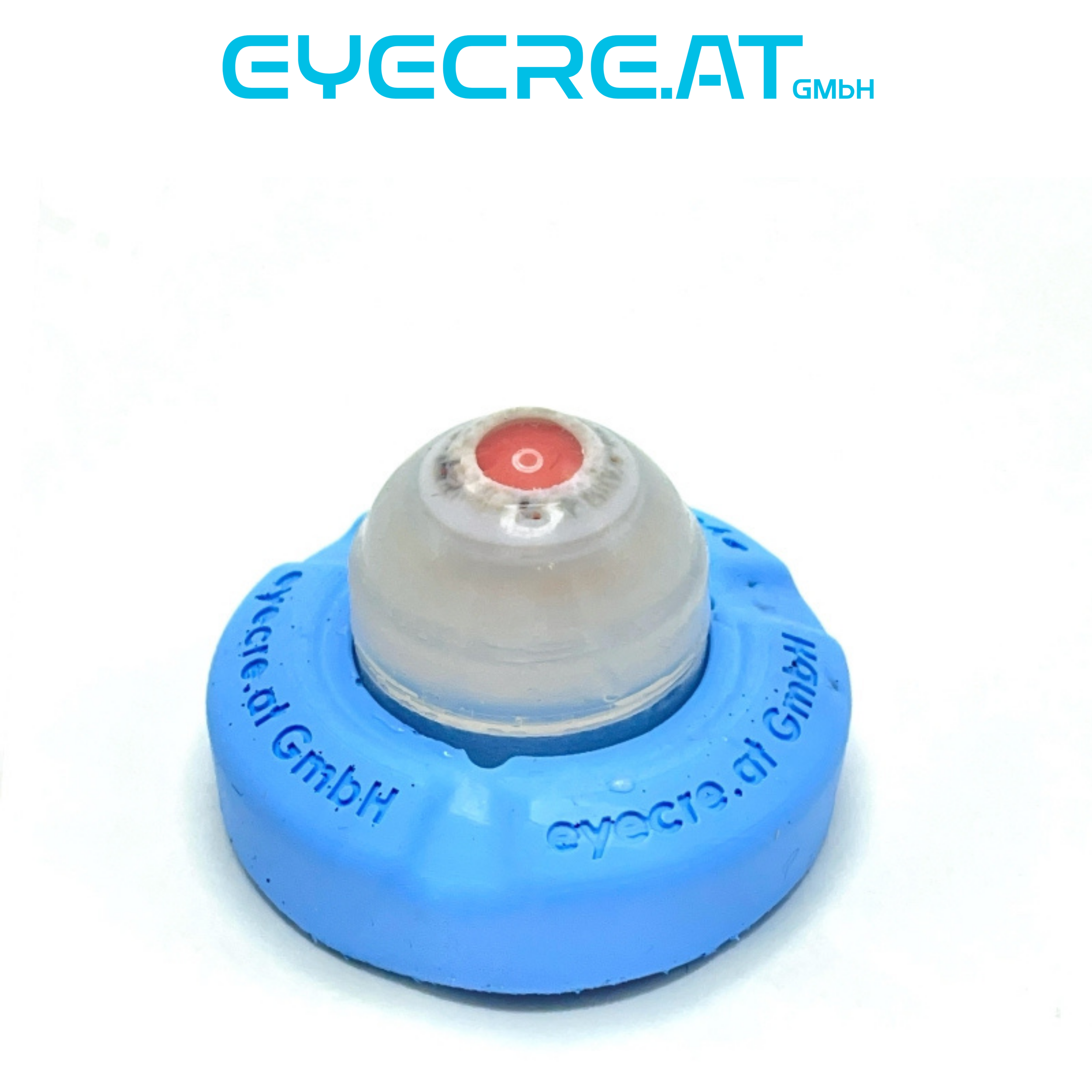eye4vitrec (1).png